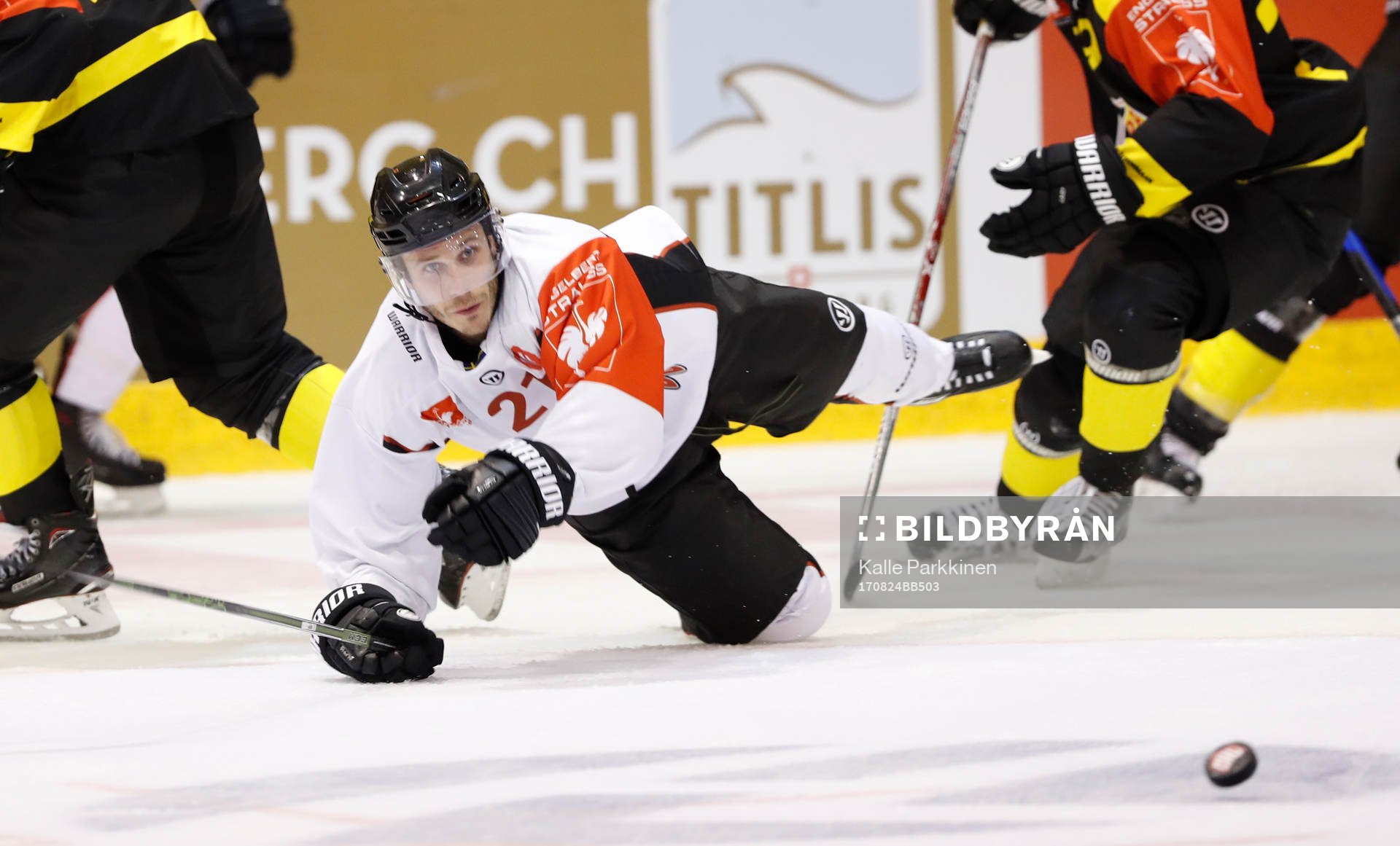 Andy Miele, Malmö Redhawks
