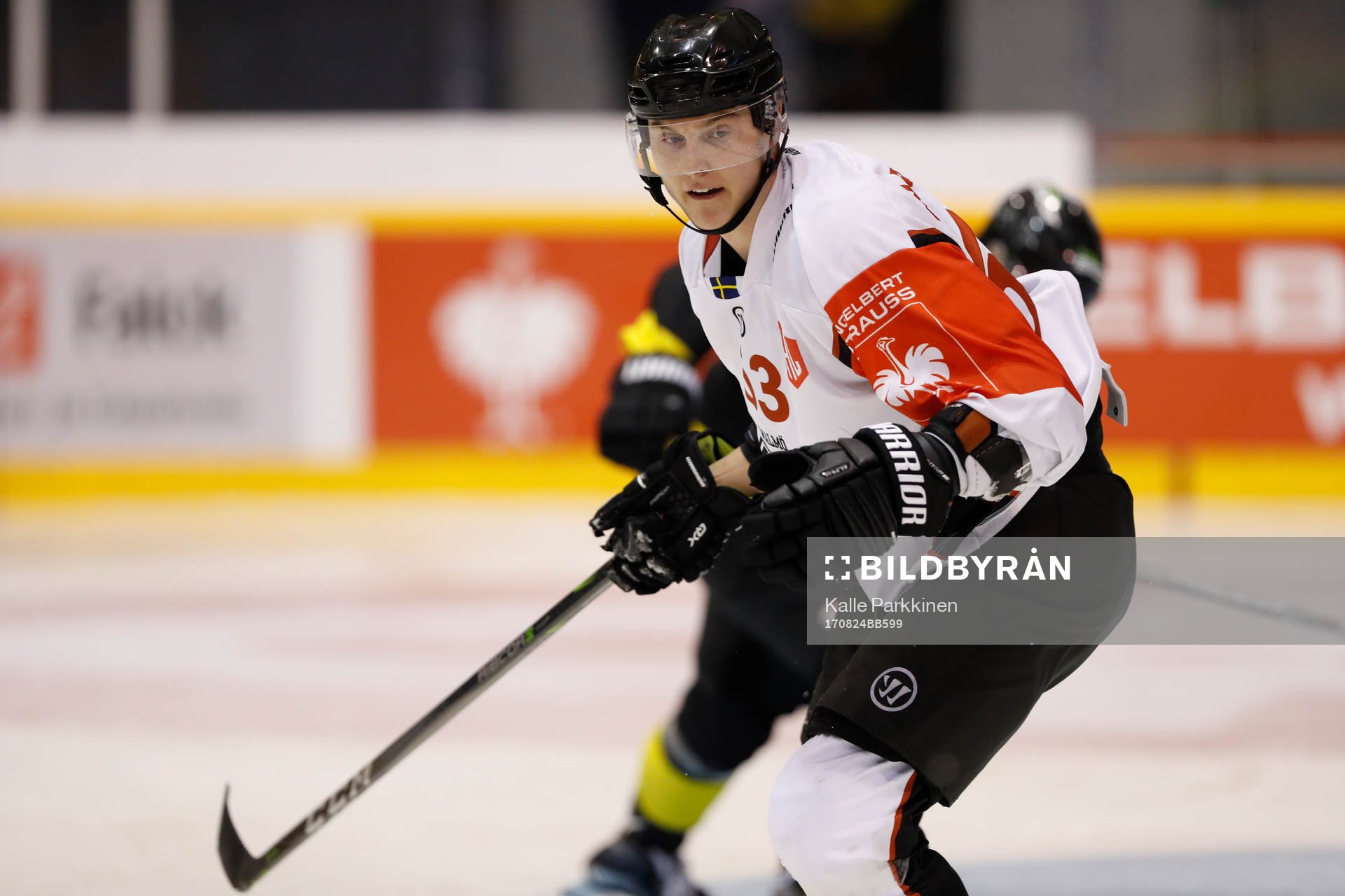 Nichlas Hardt, Malmö Redhawksduring ice hockey Champions