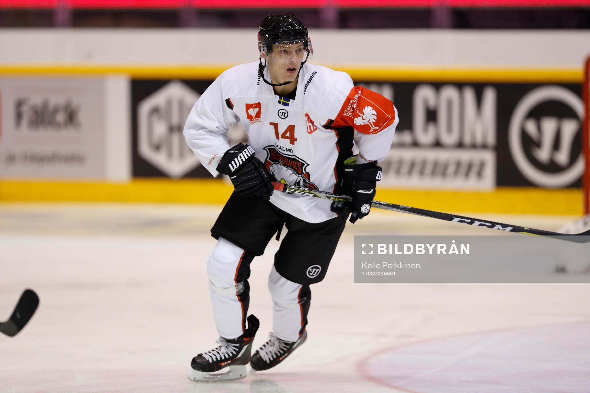Carl-Johan Lerby, Malmö Redhawks