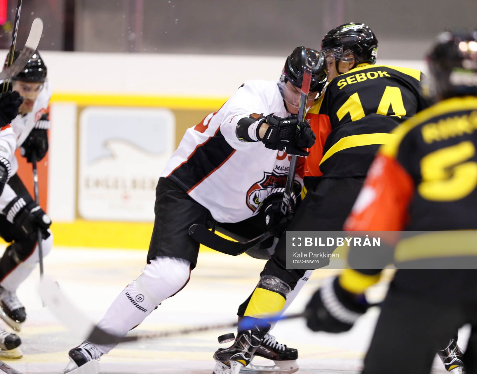 Rhett Rakhshani, Malmö Redhawks and Balazs Sebok, KalPa
