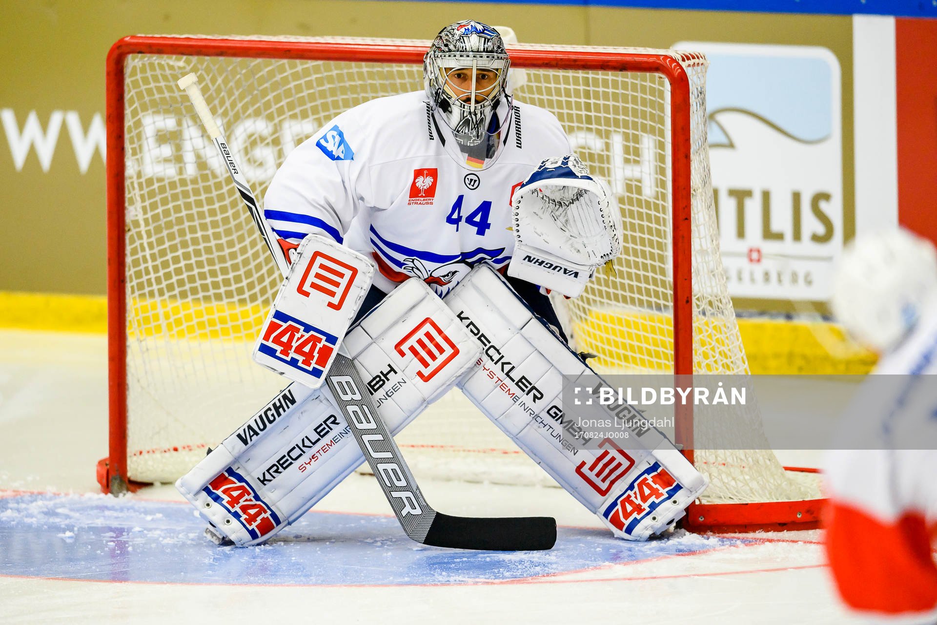 Dennis Endras goaltender of Adler Mannheim