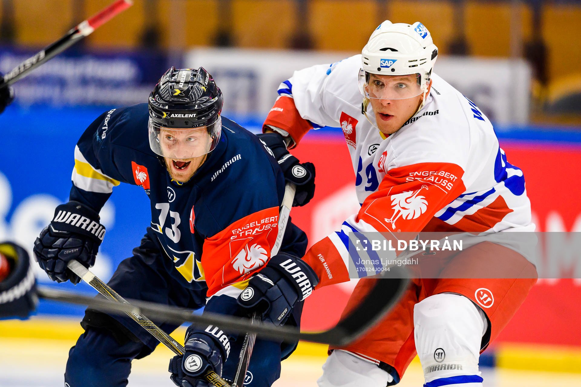 Oscar Sundh of HV71 and David Wolf of Adler Mannheim