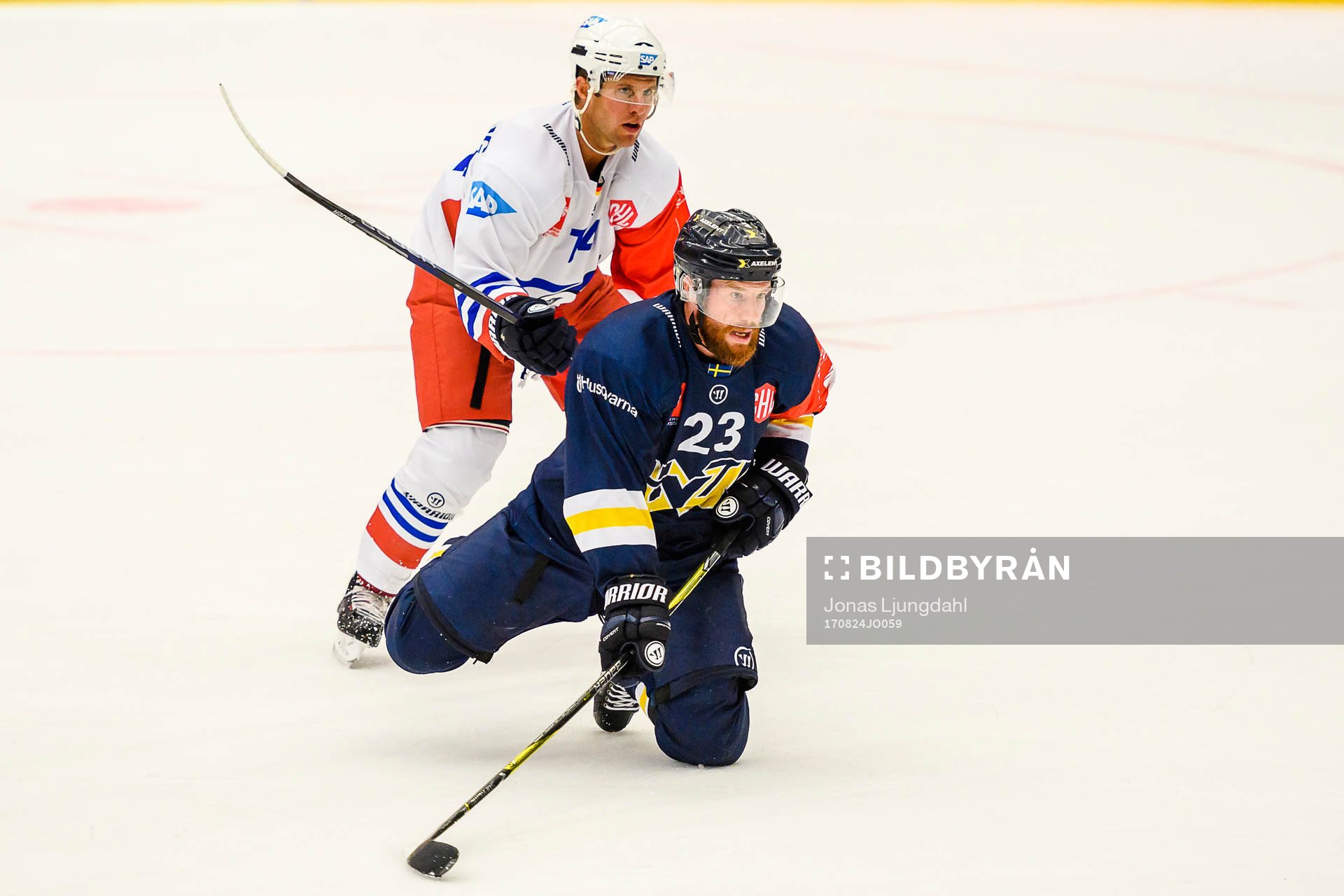 Garrett Festerling of Adler Mannheim and Robin Figren of