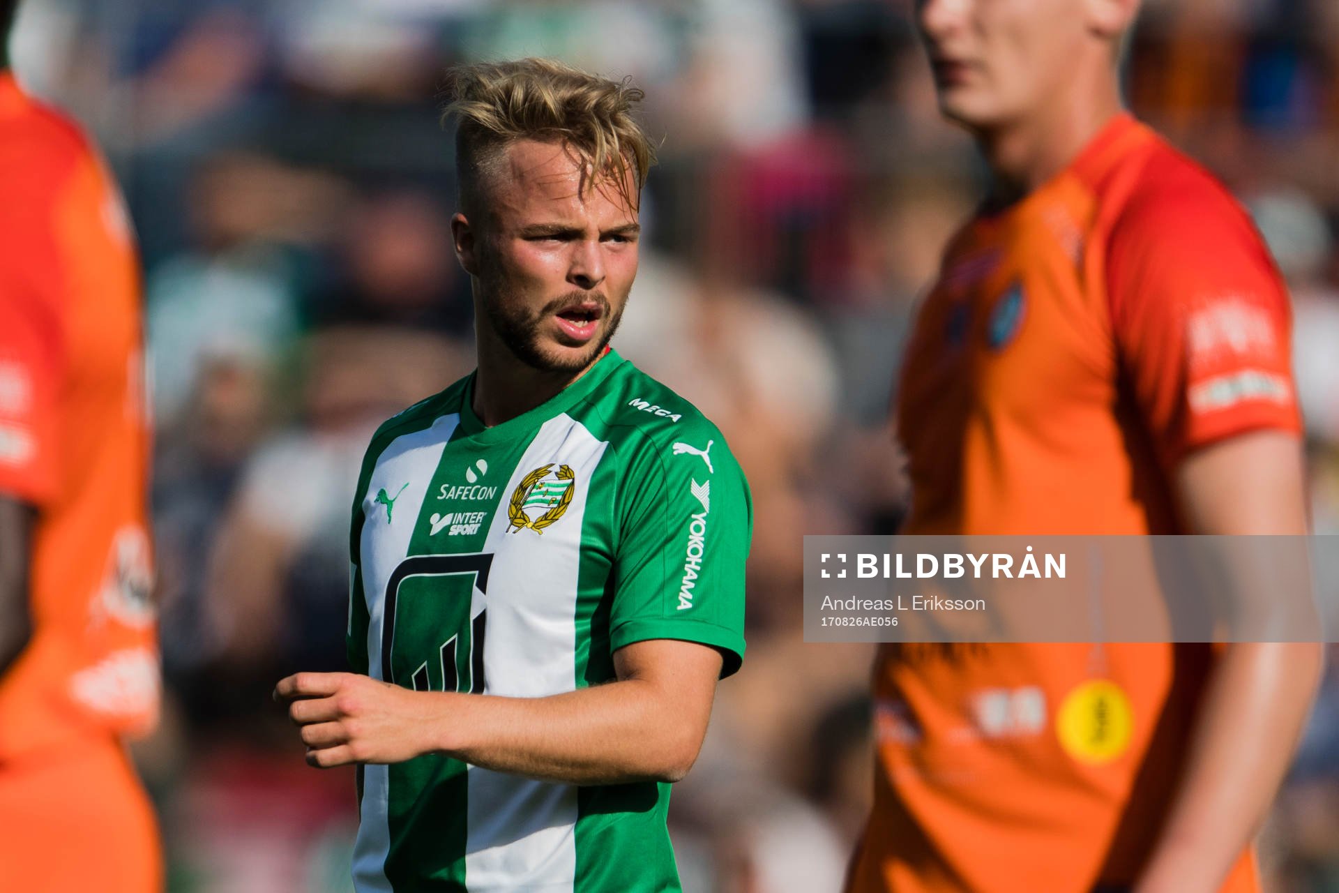 Hammarbys Sander Svendsen