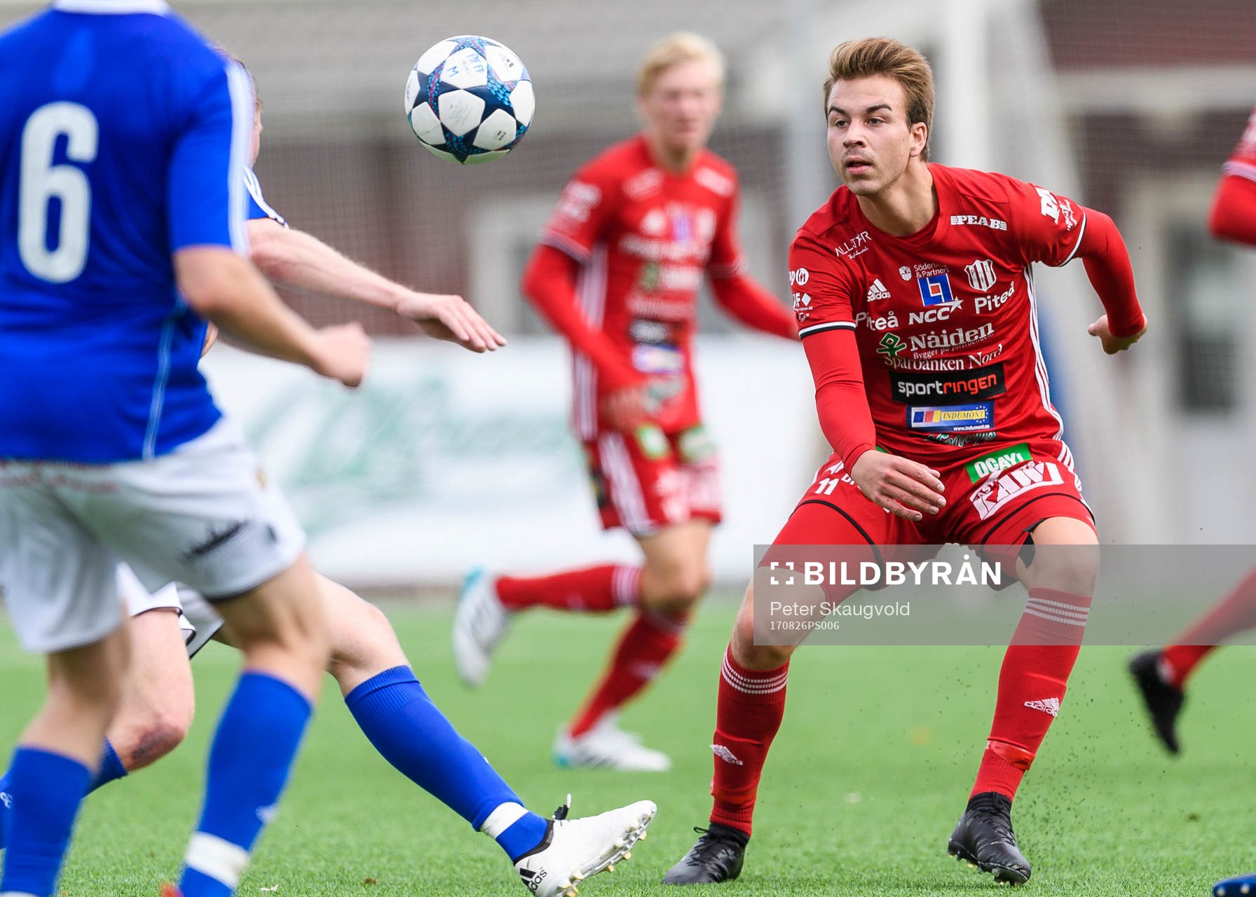 Piteås Alex Naylor