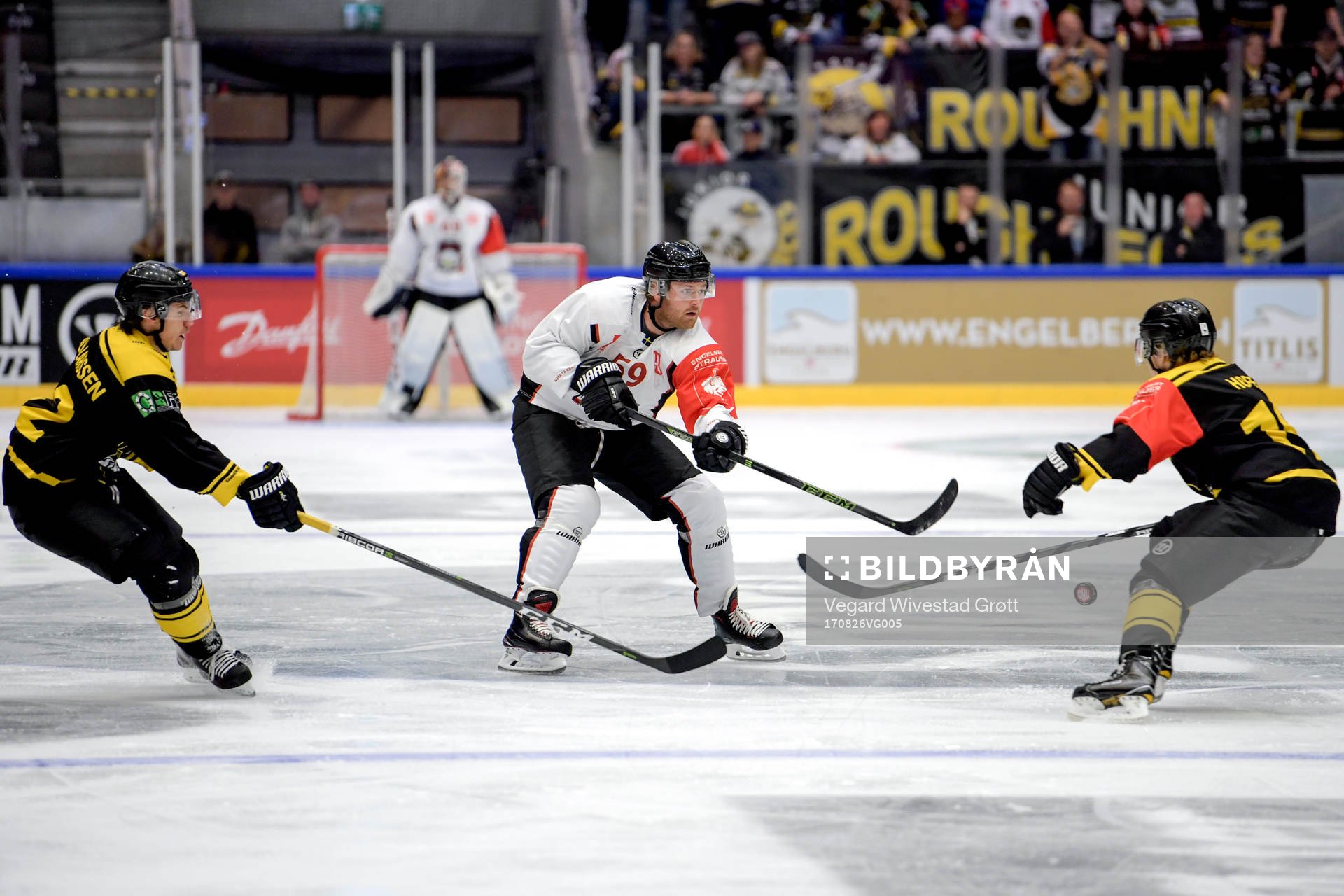 Malmö Redhawks Anton Mylläri