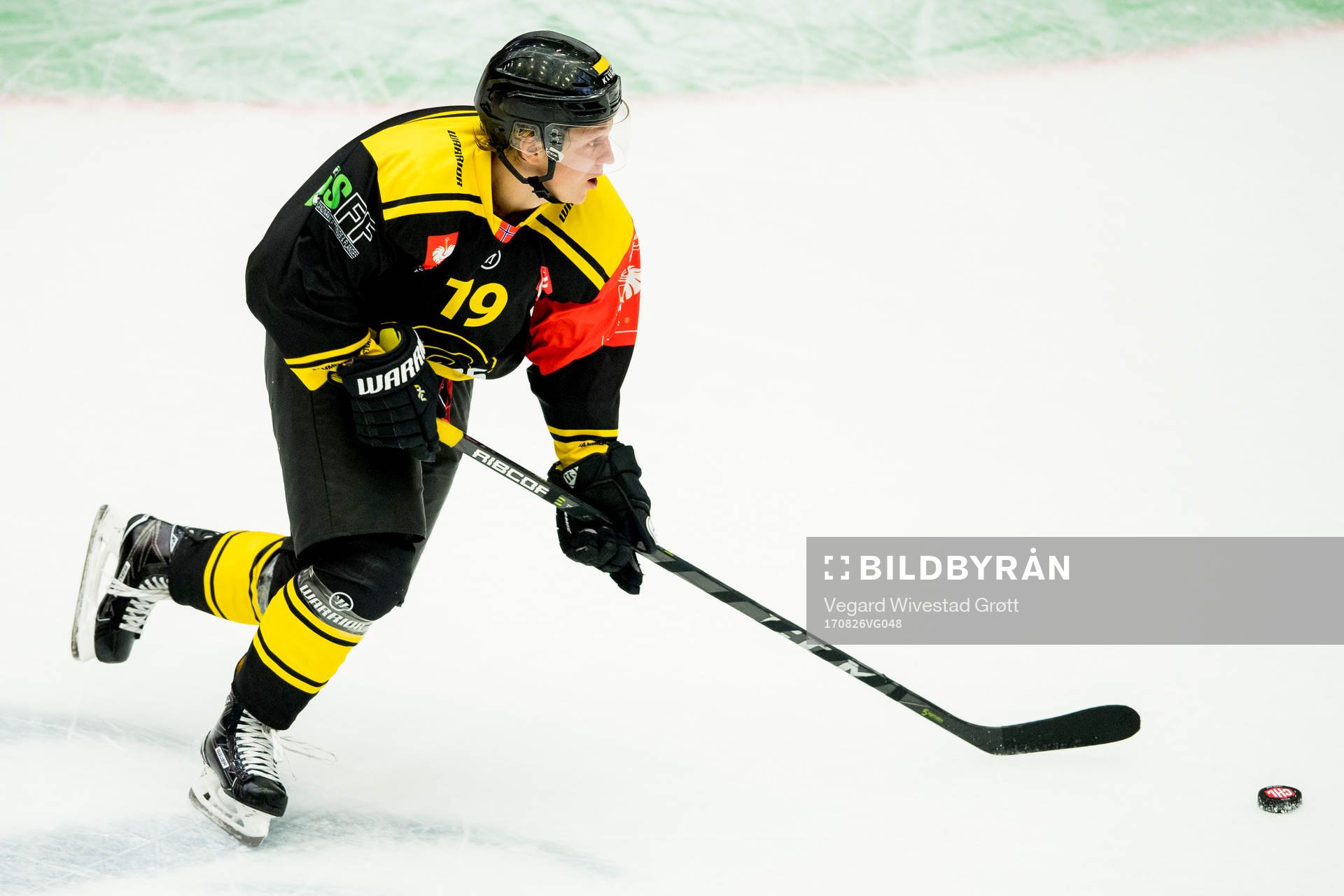 Stavanger Oilers Magnus Hoff