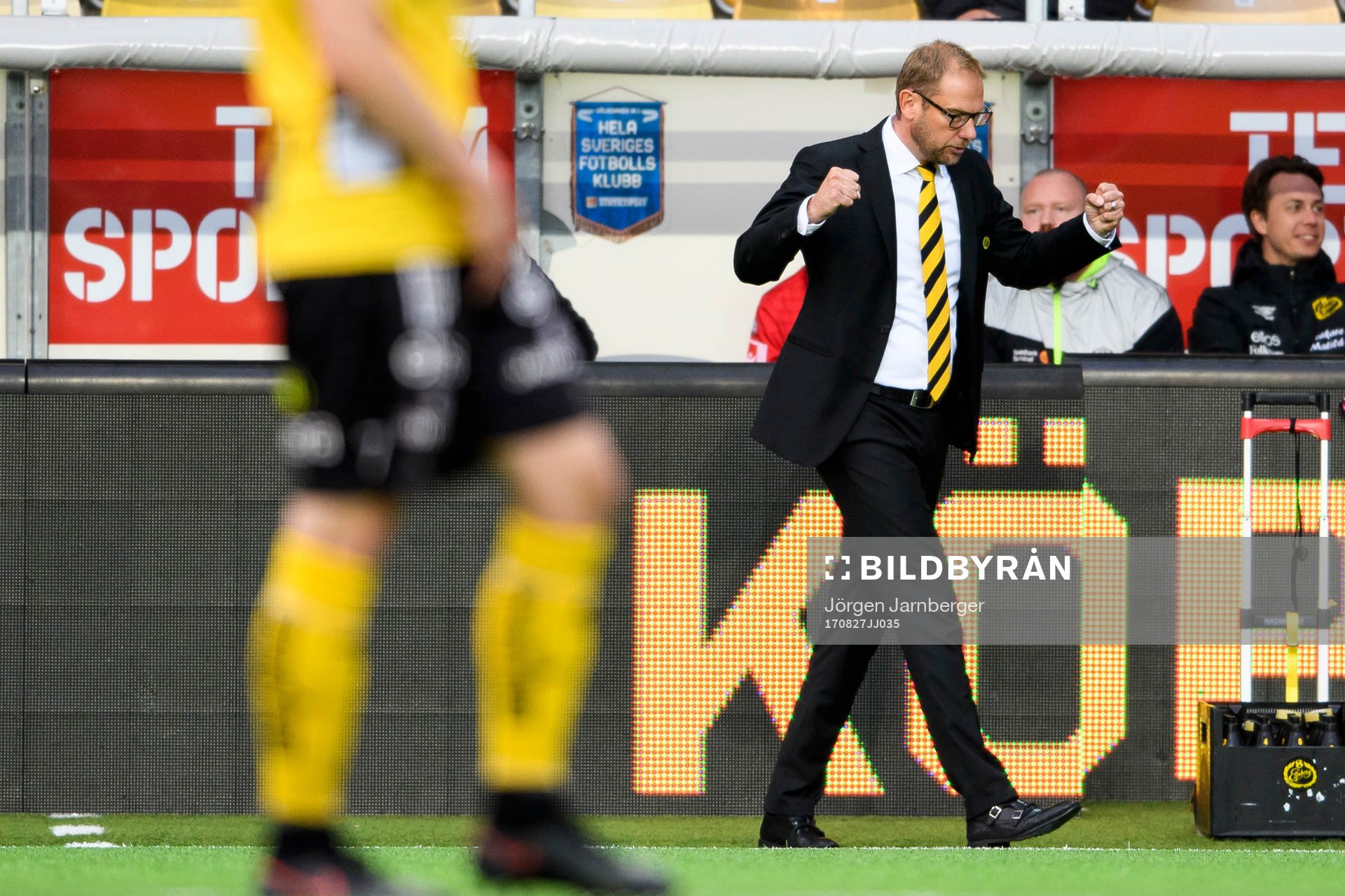 Elfsborgs manager Magnus Haglund jublar under fotbollsmatchen i Allsvenskan mellan Elfsborg och Halmstad den 27 augusti 2017 i Borås.