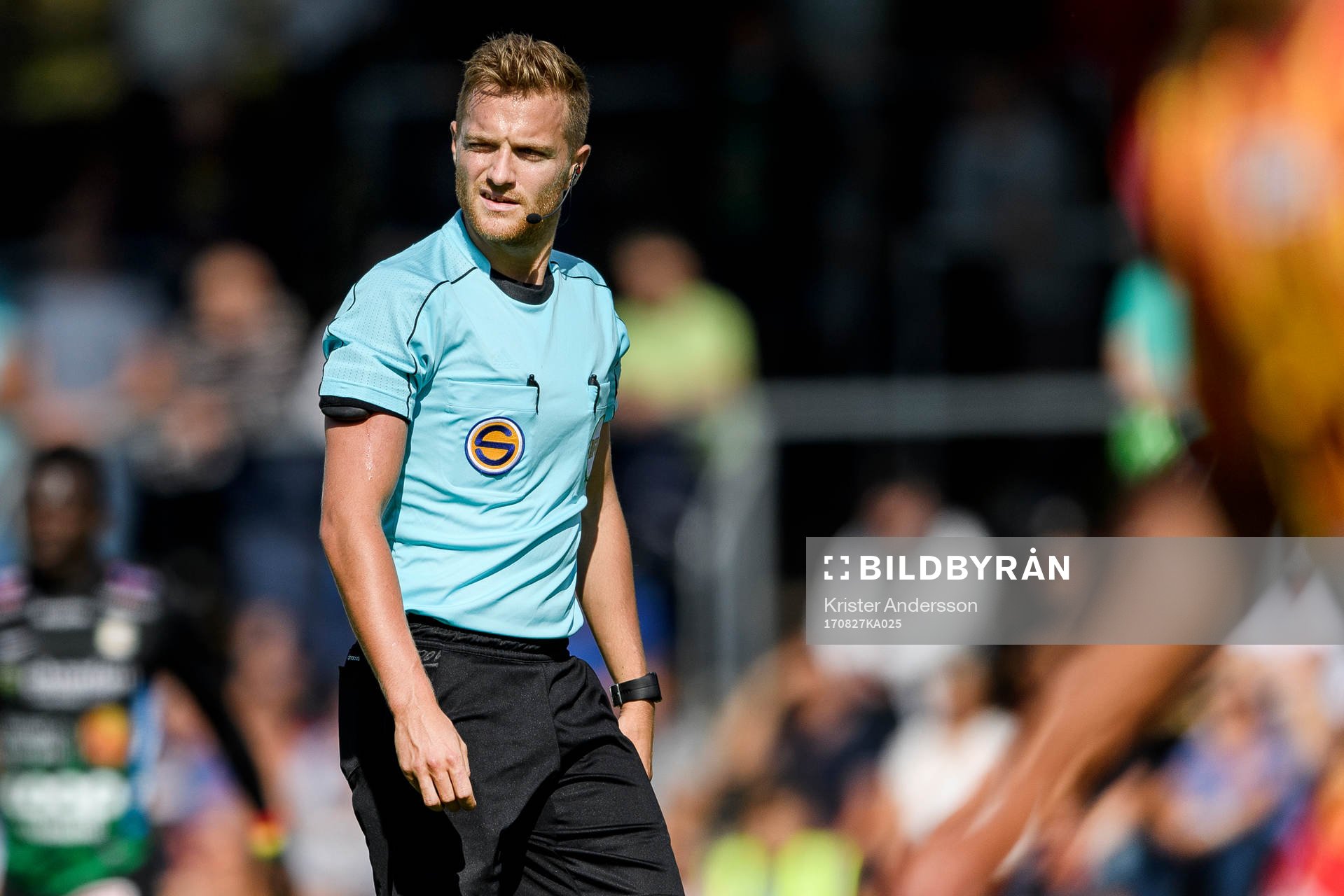 Domare Mikkel Redder