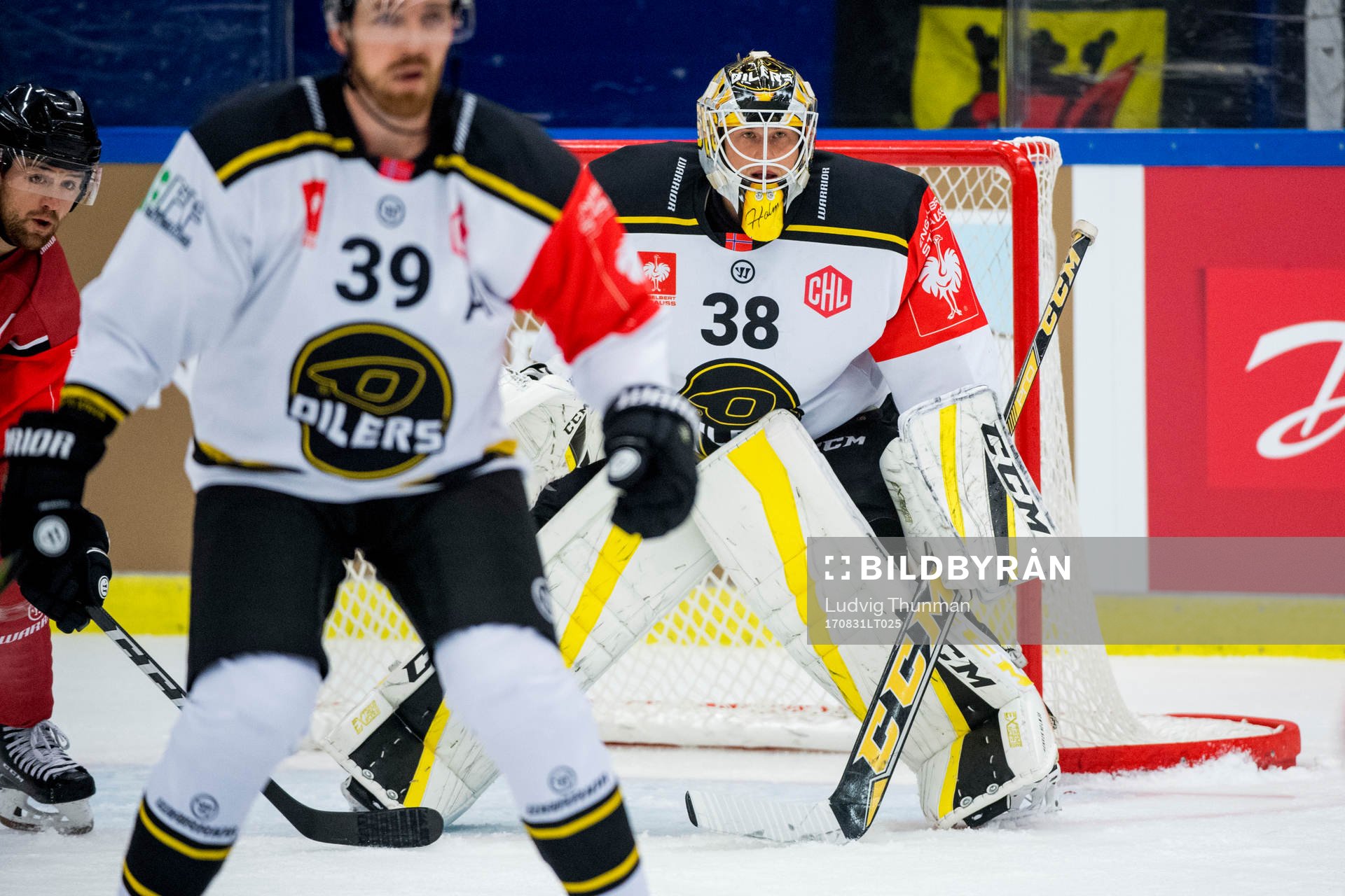 Goalkeeper Henrik Holm of Stavanger Oilers