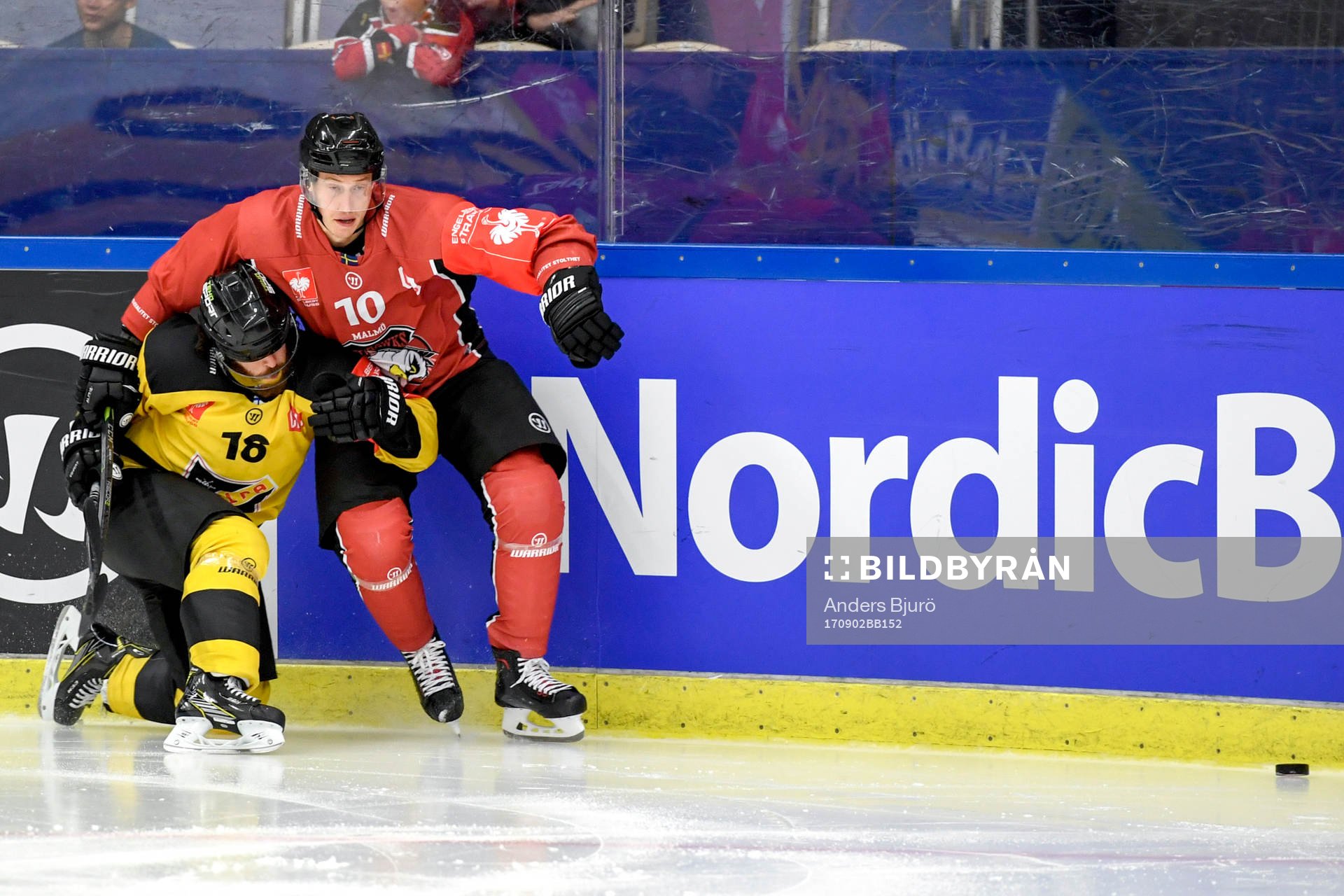 Mathew Maione of KalPa and Robin Alvarez of Malmö Redhawks