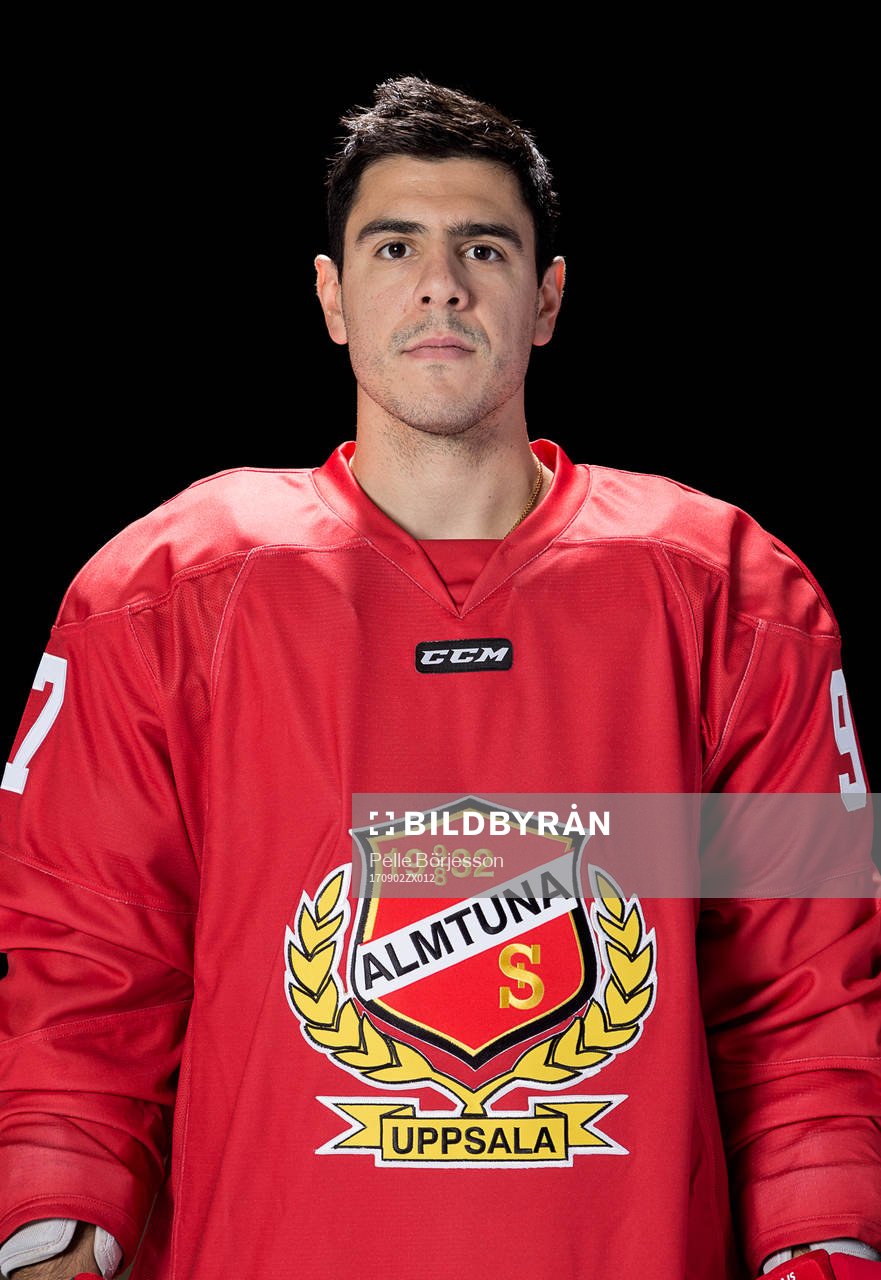 Almtunas David Vallorani