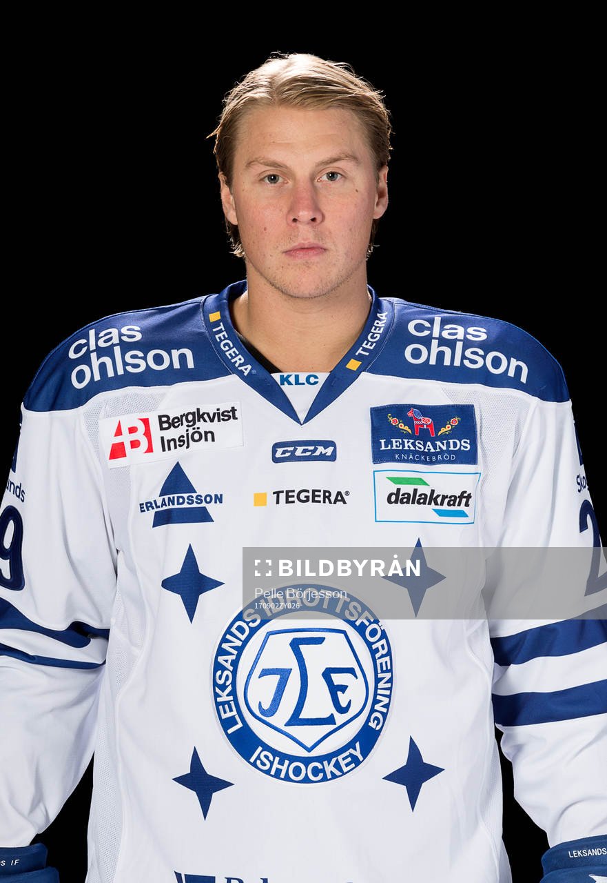 Leksands David Åslin