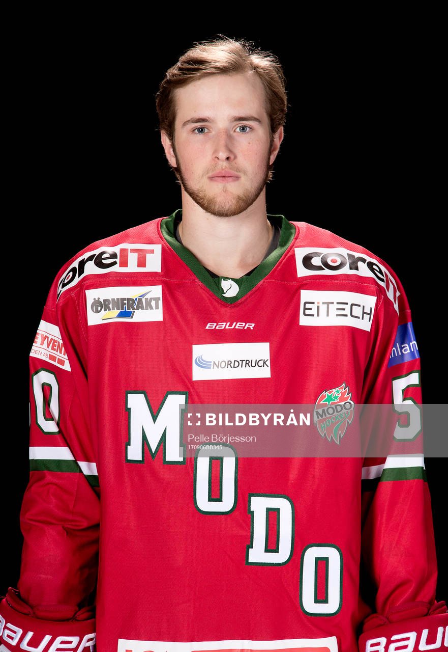 Modos Tim Wahlgren