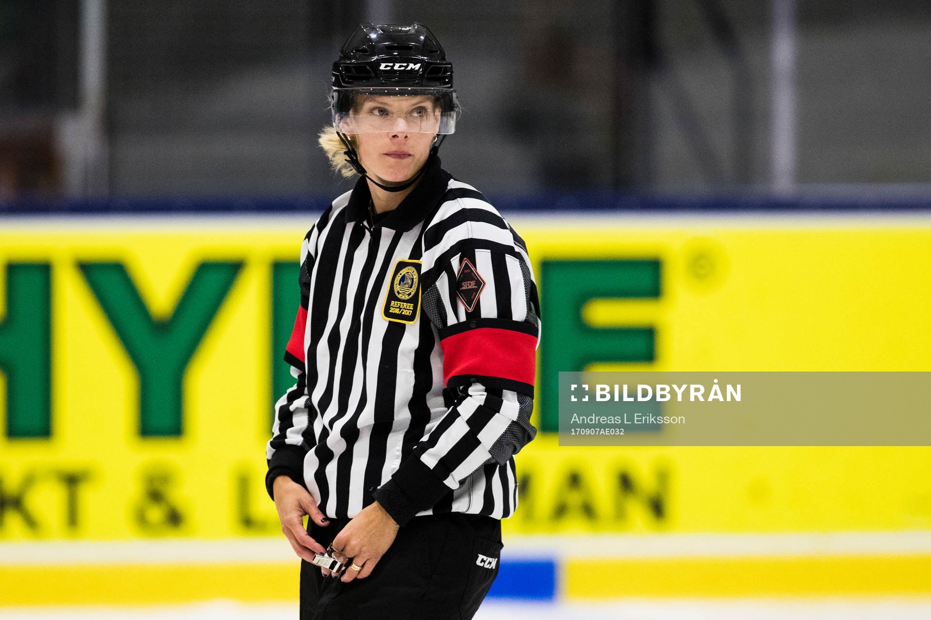 Domare Katarina Timglas