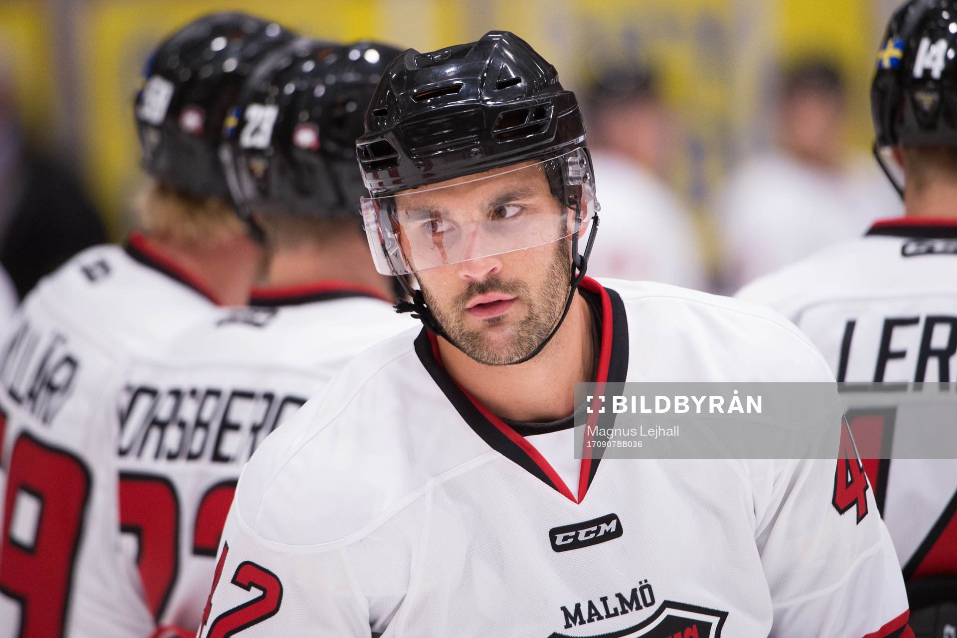 Malmö Redhawks Niklas Arell