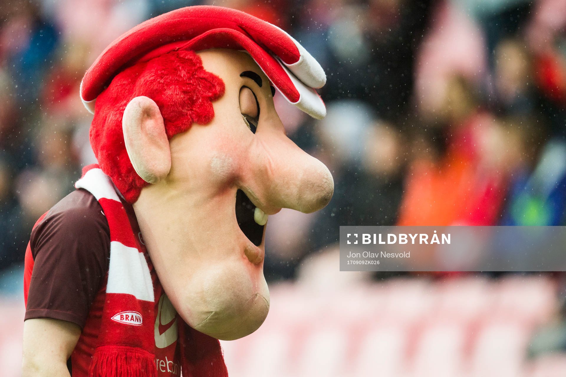 A mascot