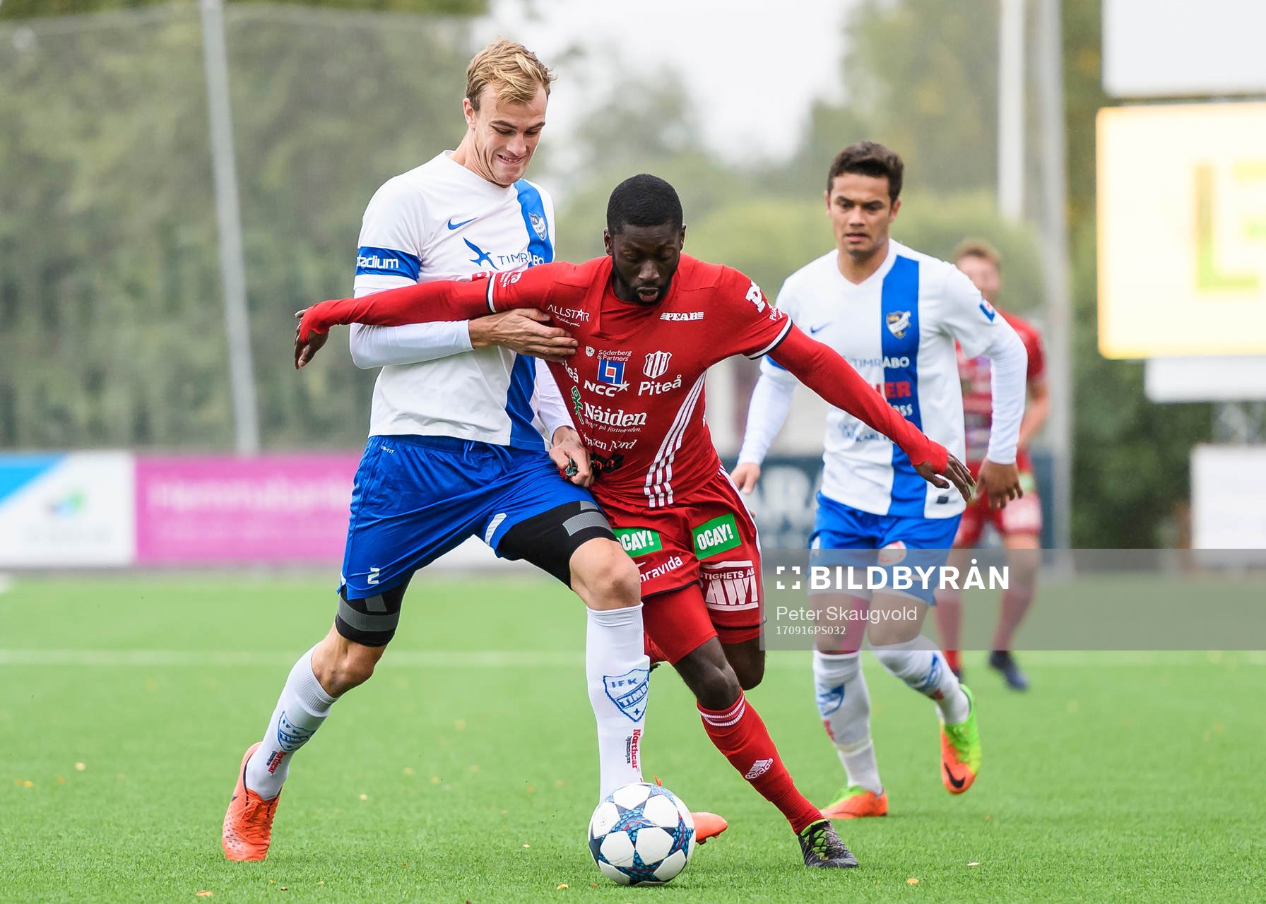 Timrås Tim Colldén