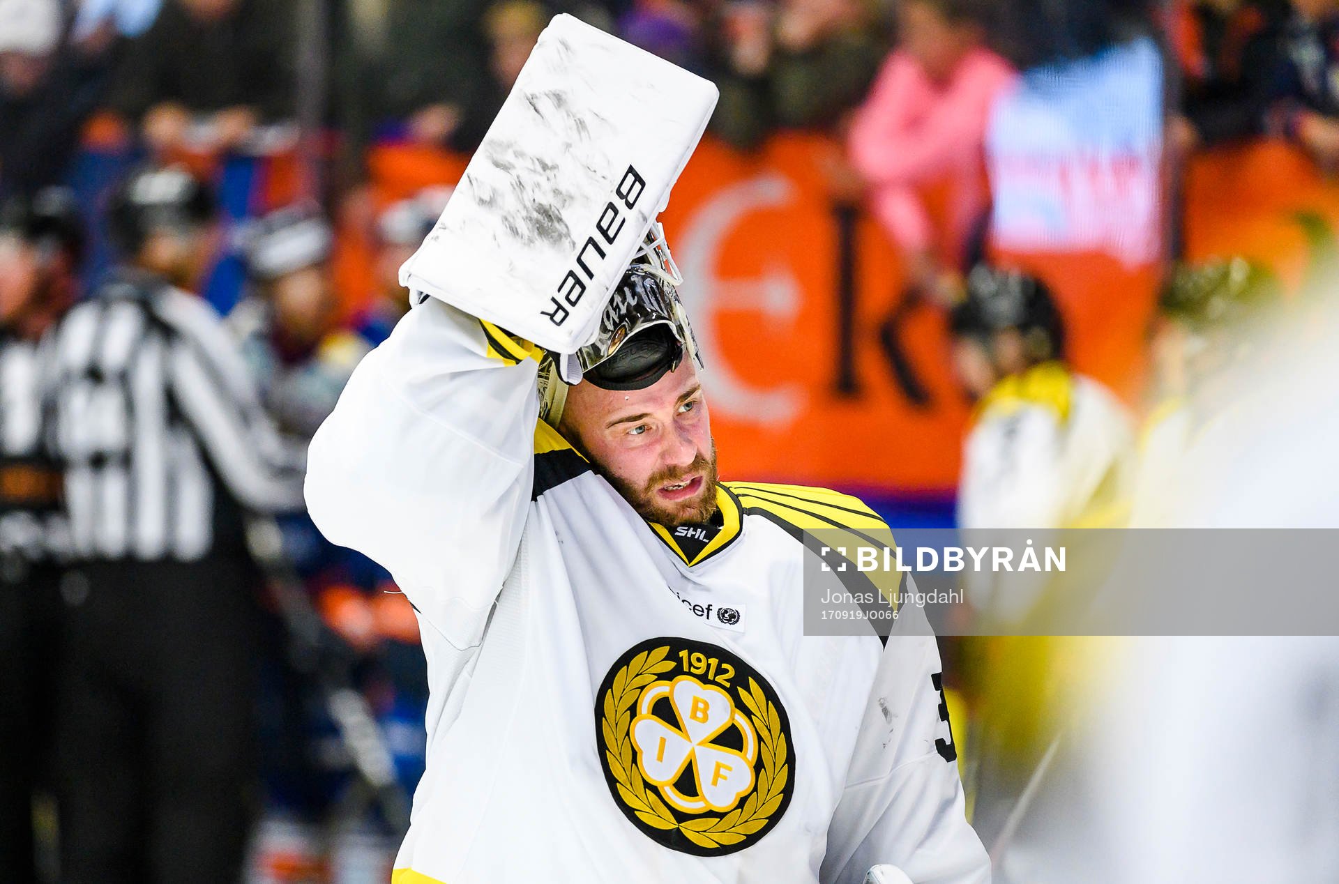 Brynäs målvakt David Rautio