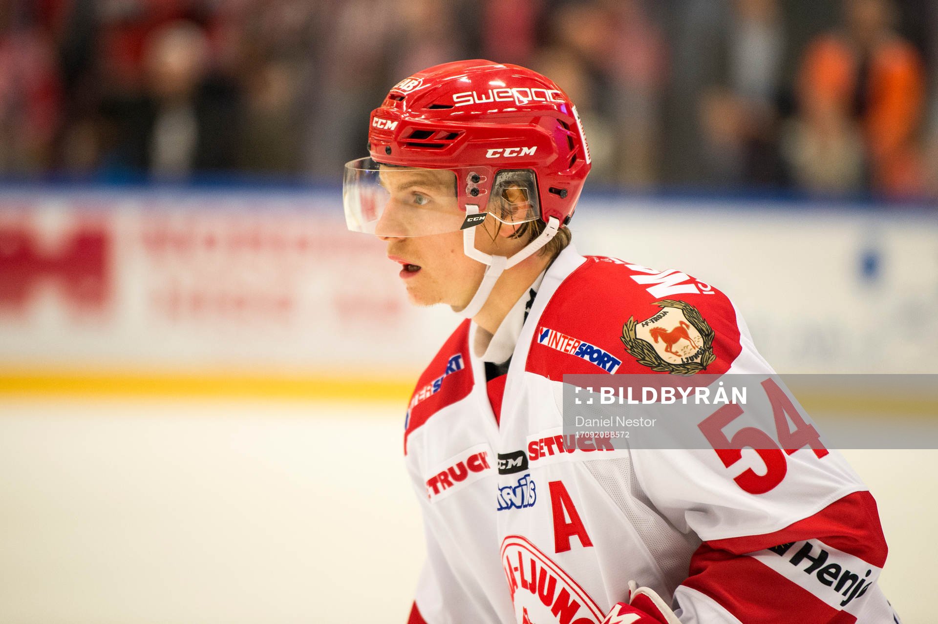 Trojas Alexander Edström