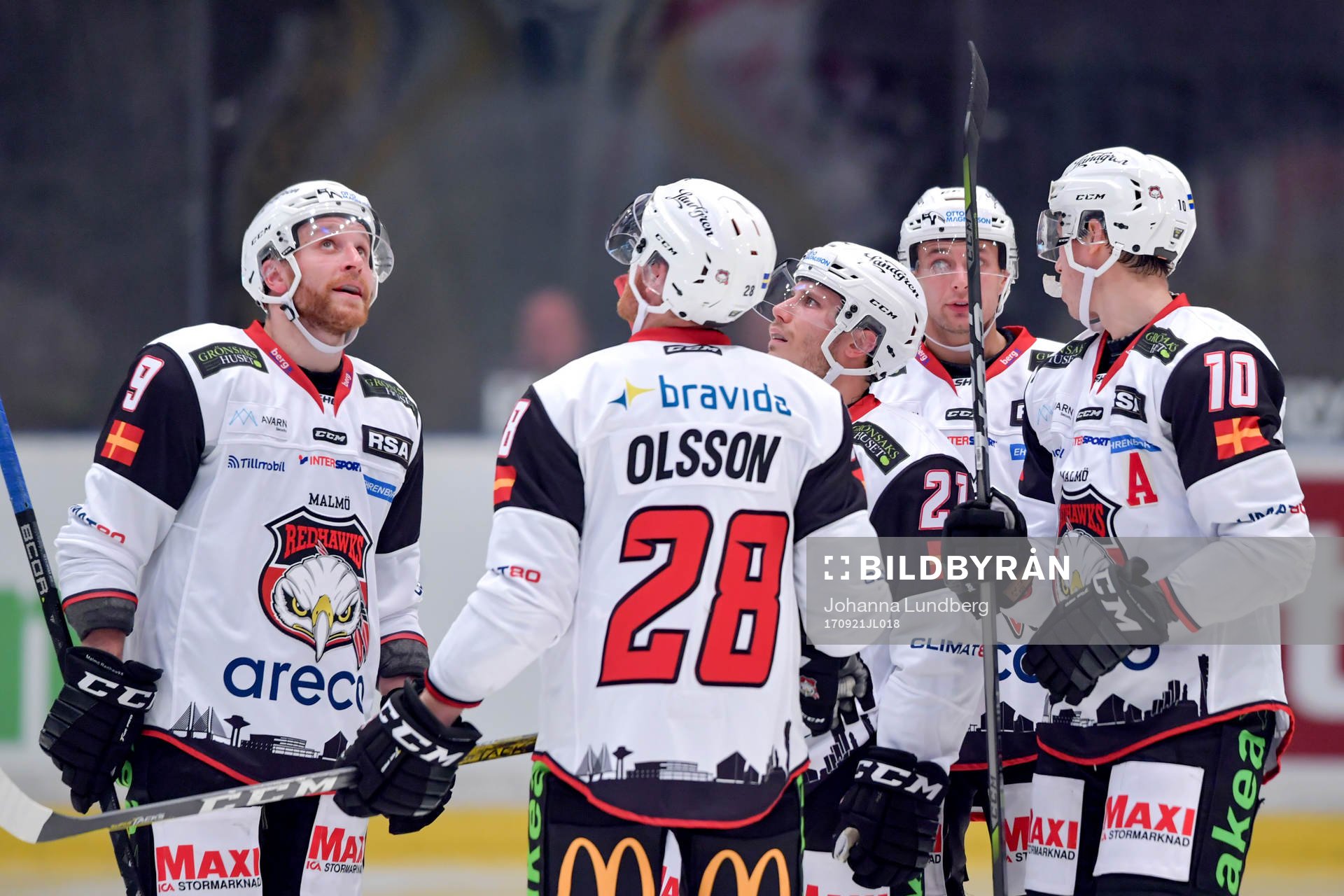Malmö Redhawks spelare blickar upp i taket
