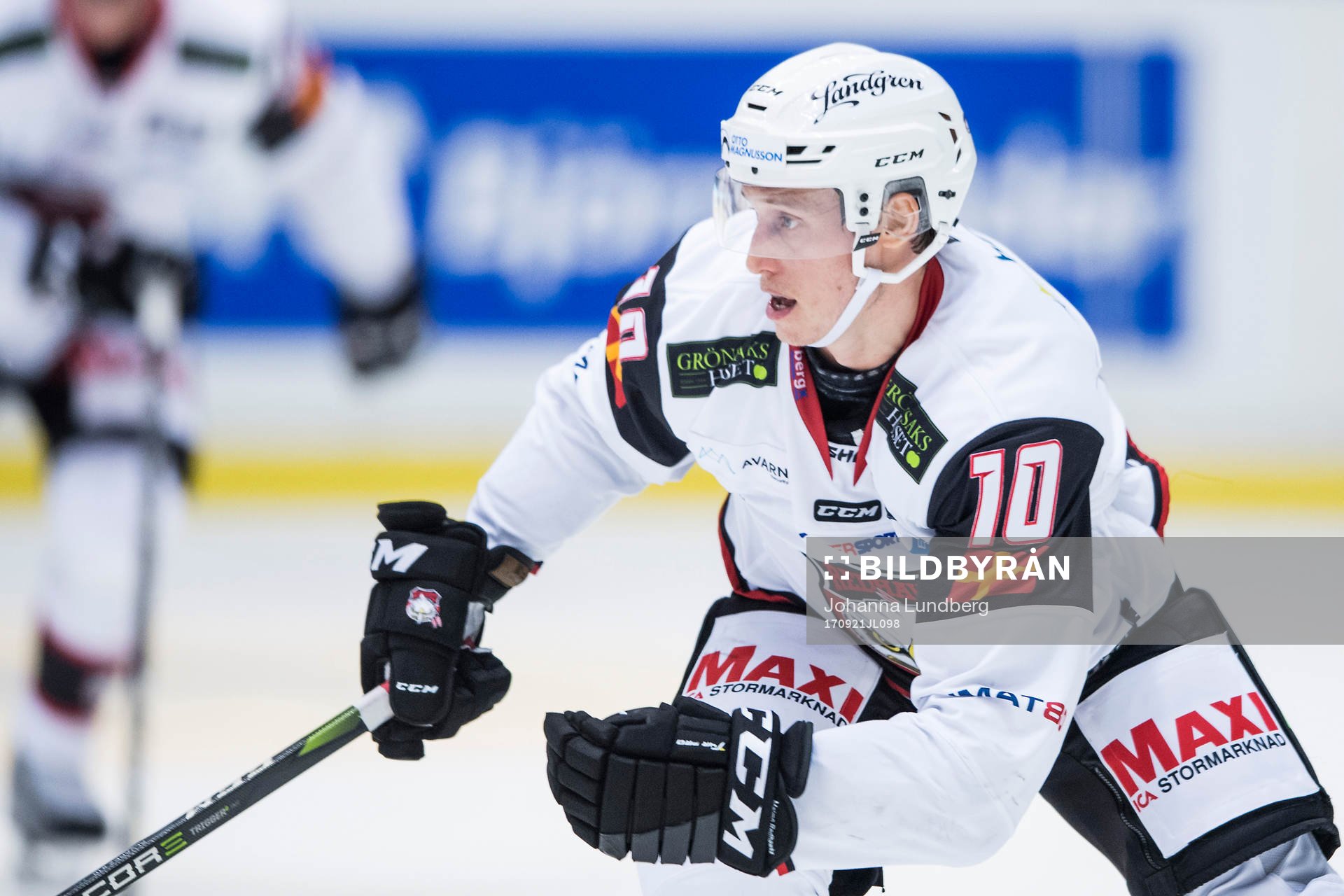 Malmö Redhawks Robin Alvarez