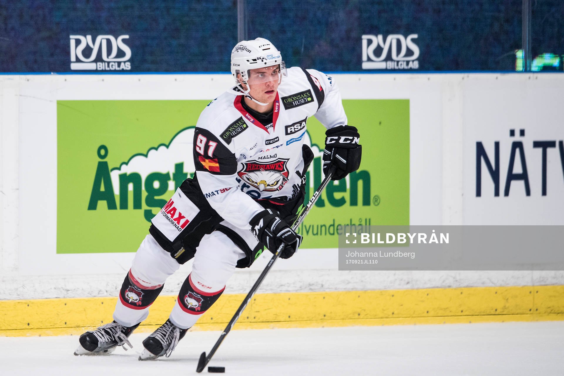 Malmö Redhawks Max Görtz