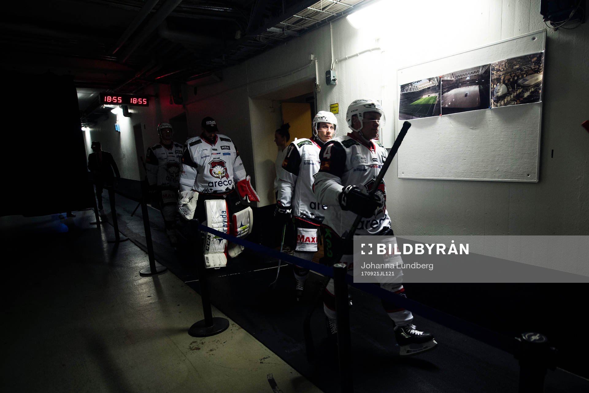 Malmö Redhawks spelare