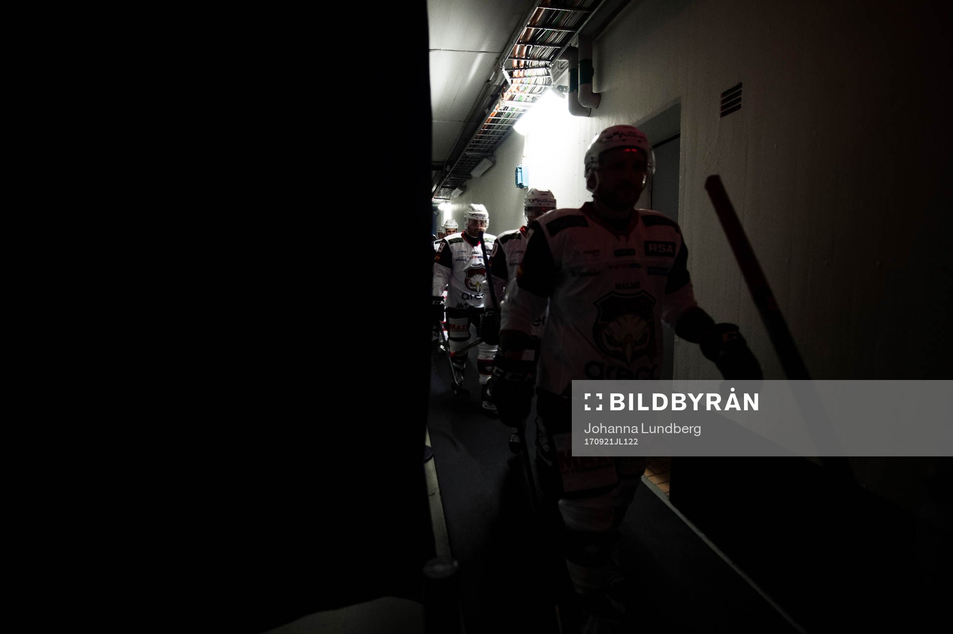Malmö Redhawks spelare