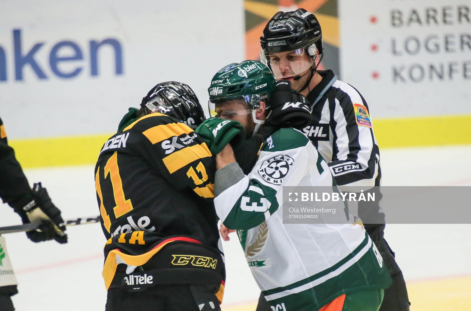 Skellefteås Henrik Hetta