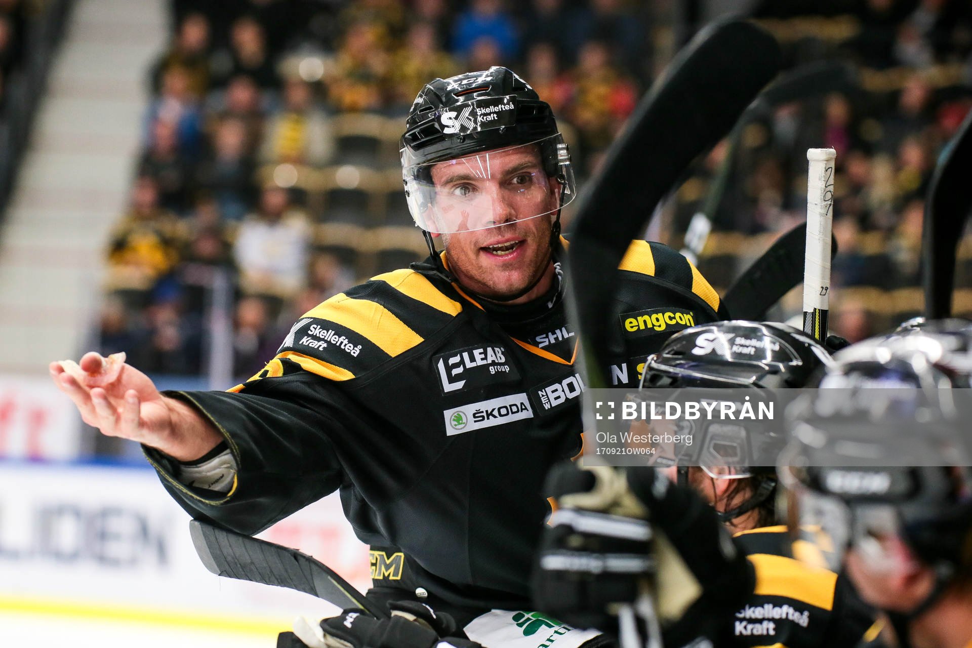 Skellefteås Matt Anderson