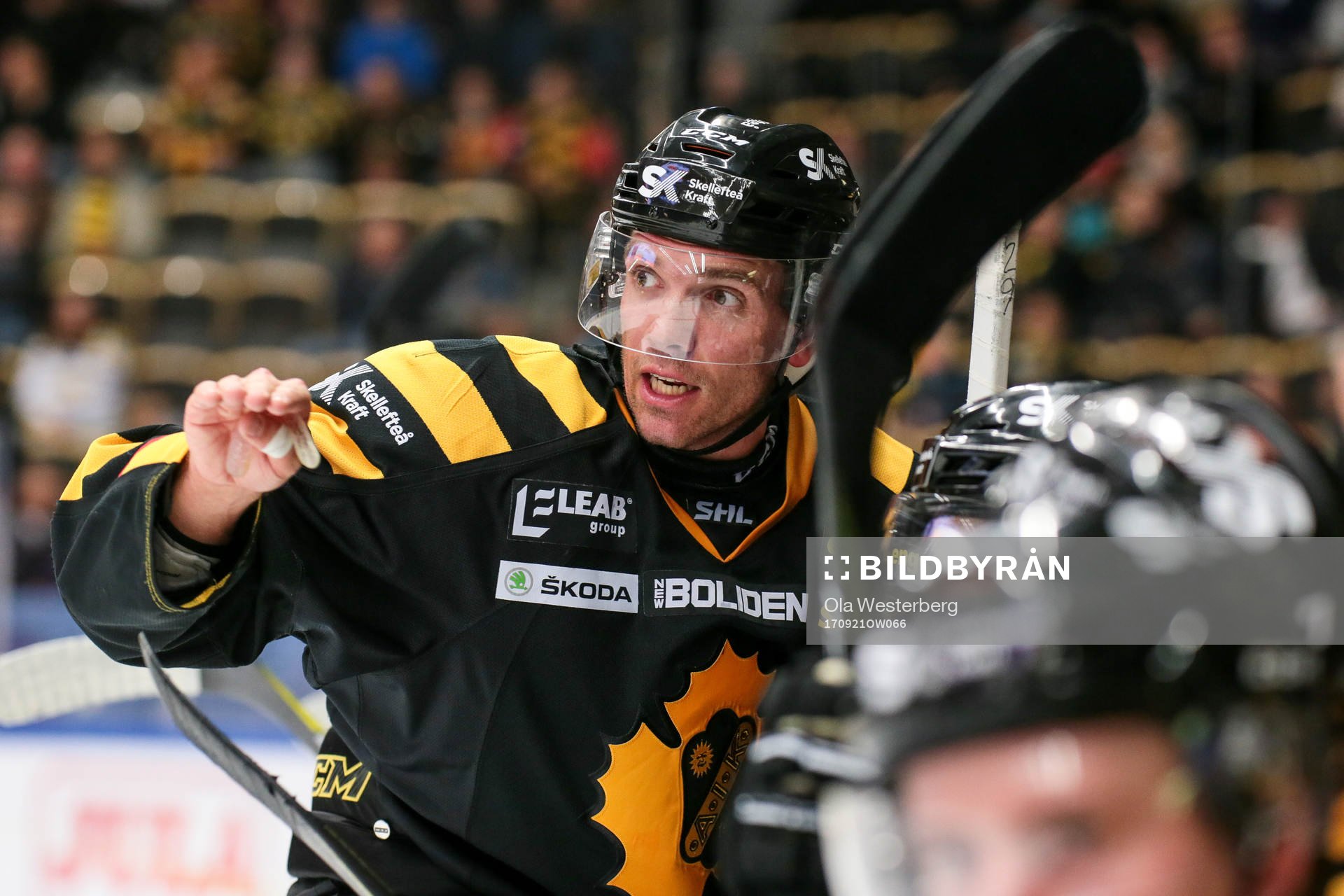 Skellefteås Matt Anderson