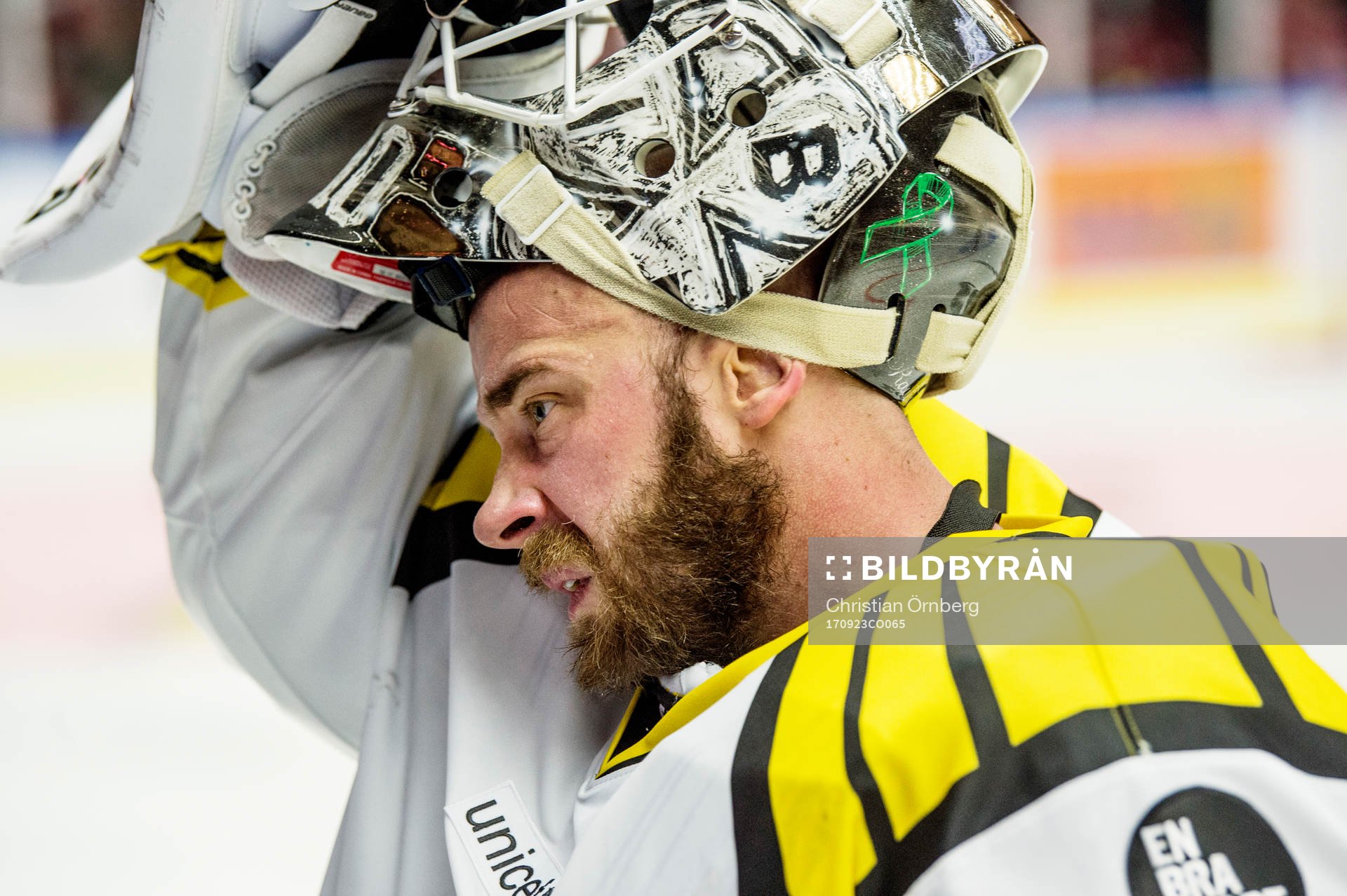 Brynäs målvakt David Rautio deppar