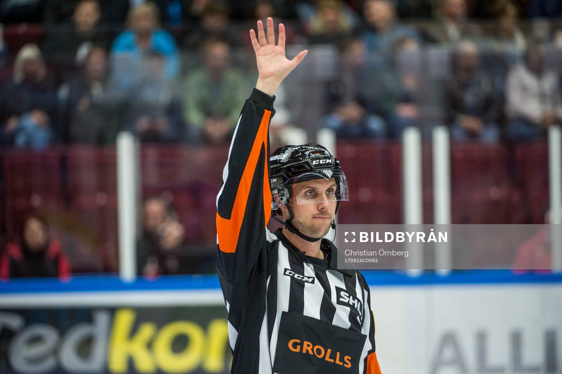 Domaren Patric Bjälkander