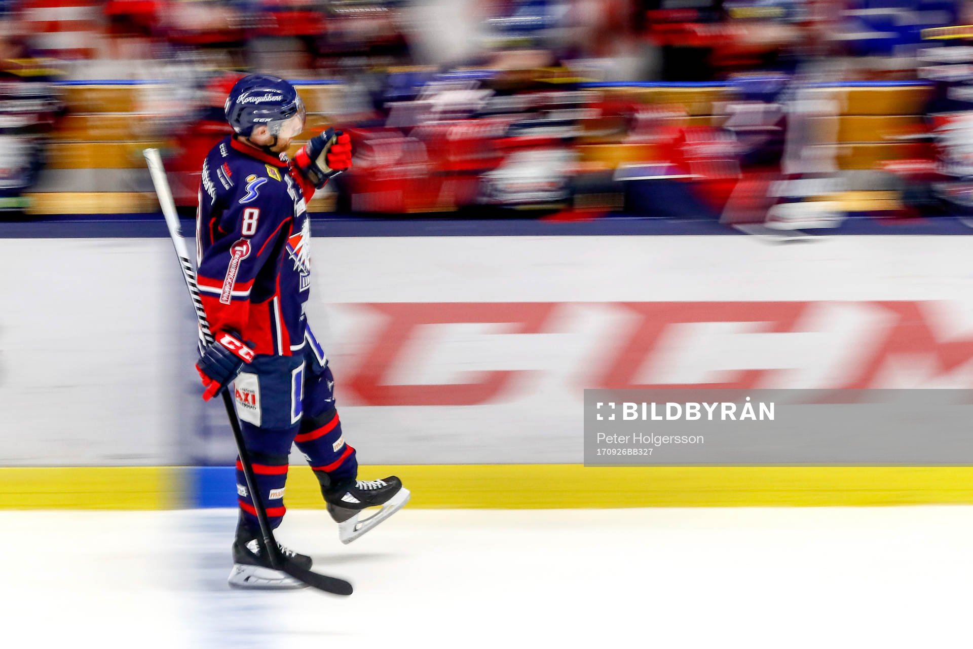 Linköpings Derek Roy  jublar