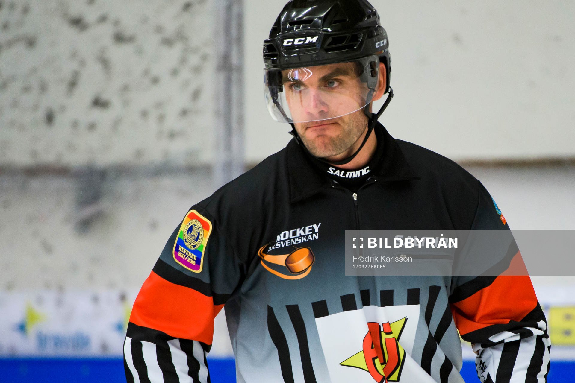 Domare Richard Magnusson