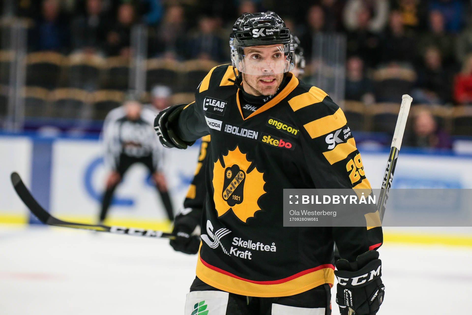 Skellefteås Matt Anderson