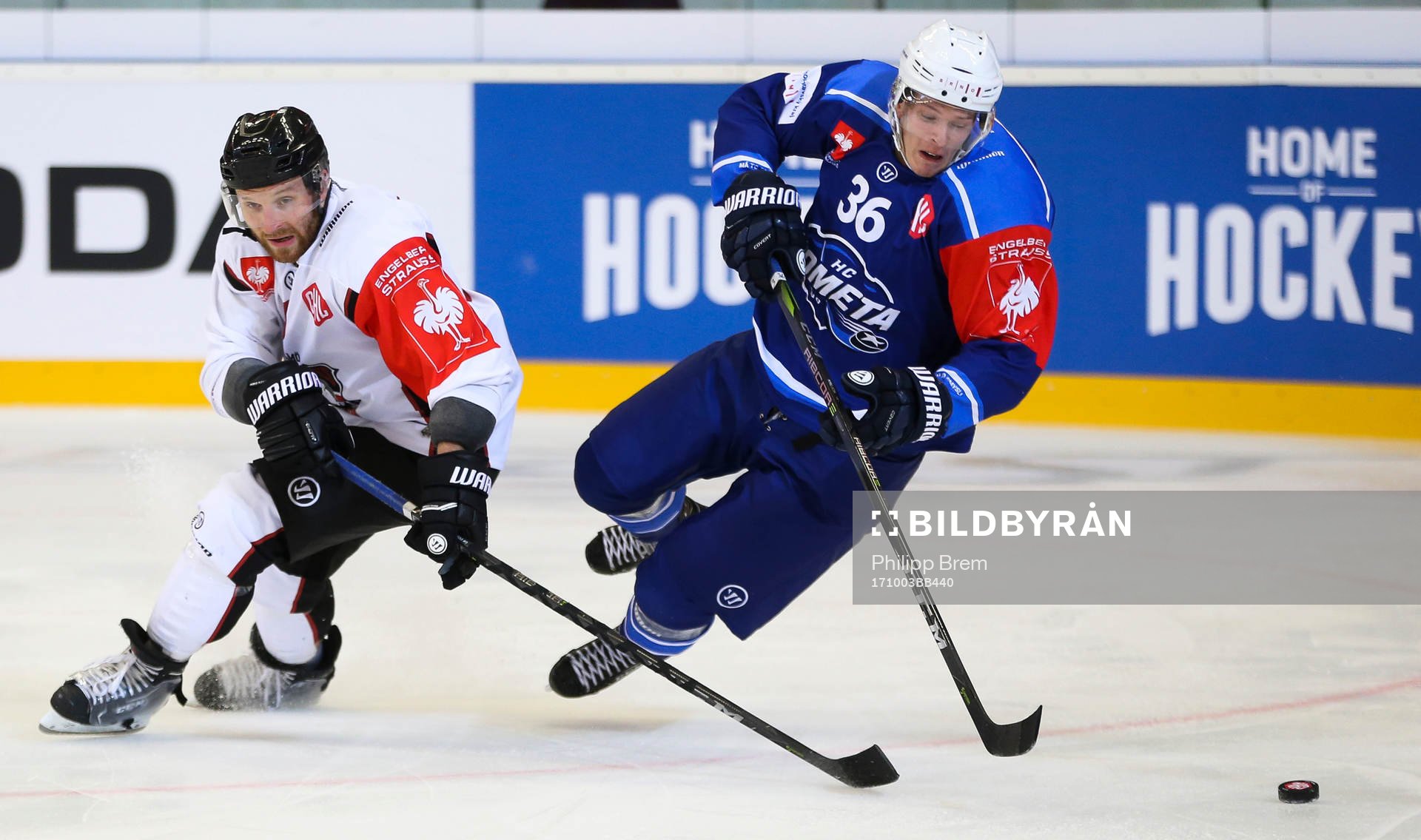 Ishockey, CHL BRNO,CZECH REPUBLIC,03.OCT.17 - ICE HOCKEY -