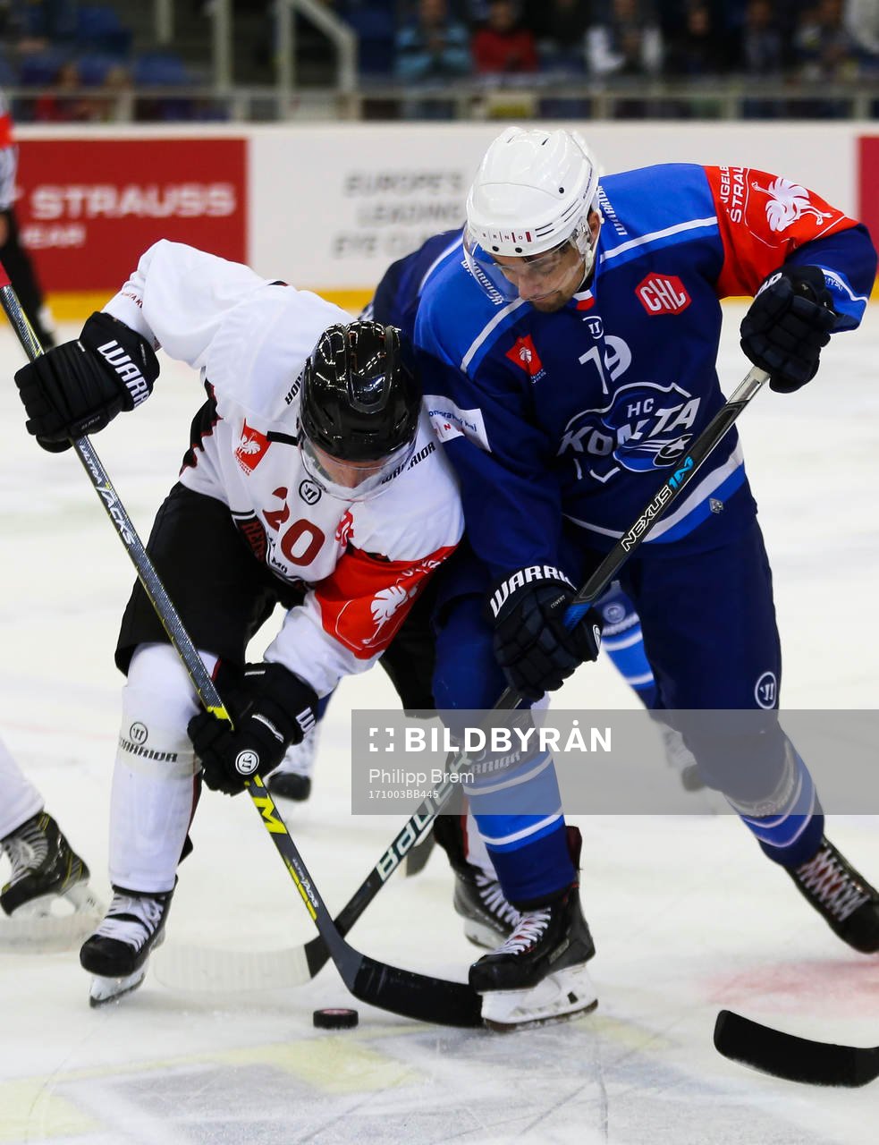 Ishockey, CHL BRNO,CZECH REPUBLIC,03.OCT.17 - ICE HOCKEY -
