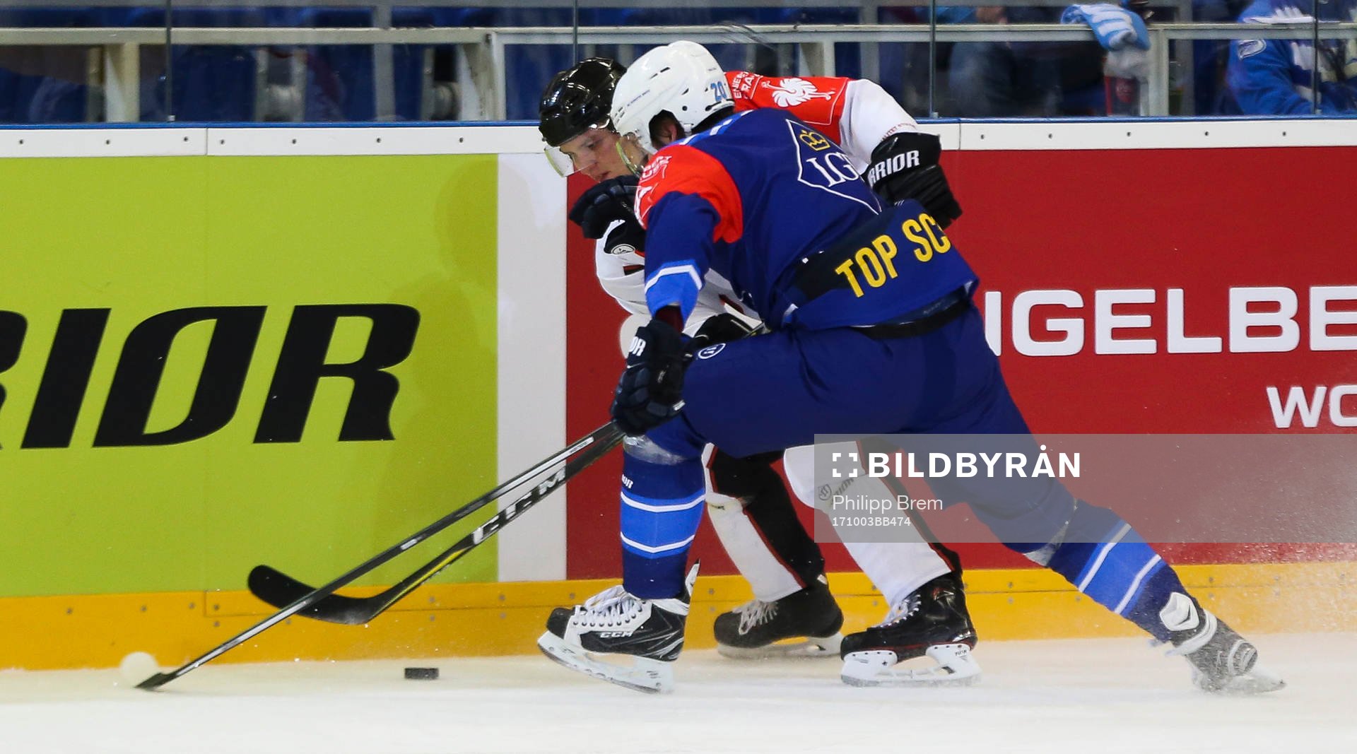 Ishockey, CHL BRNO,CZECH REPUBLIC,03.OCT.17 - ICE HOCKEY -