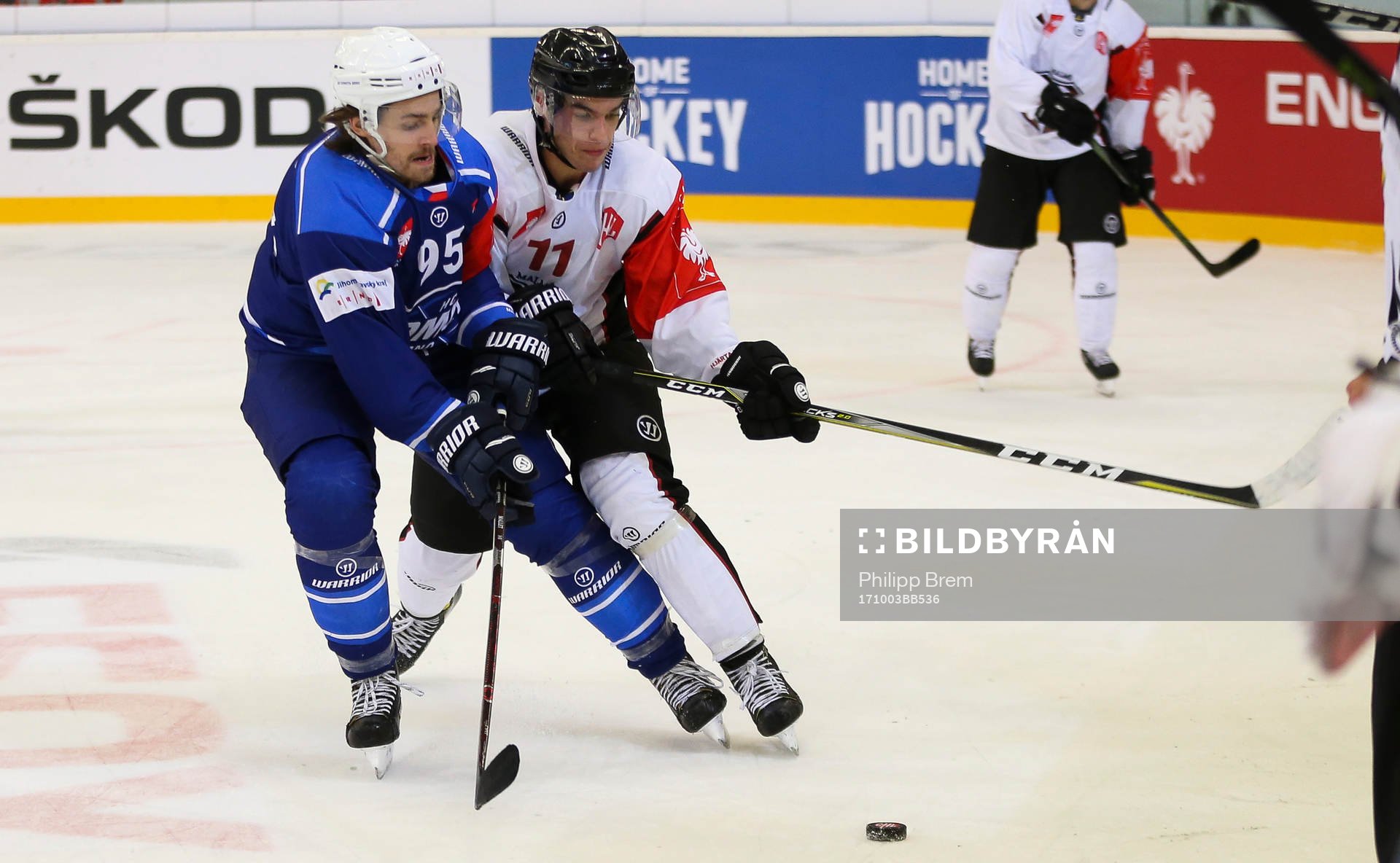 Ishockey, CHL BRNO,CZECH REPUBLIC,03.OCT.17 - ICE HOCKEY -