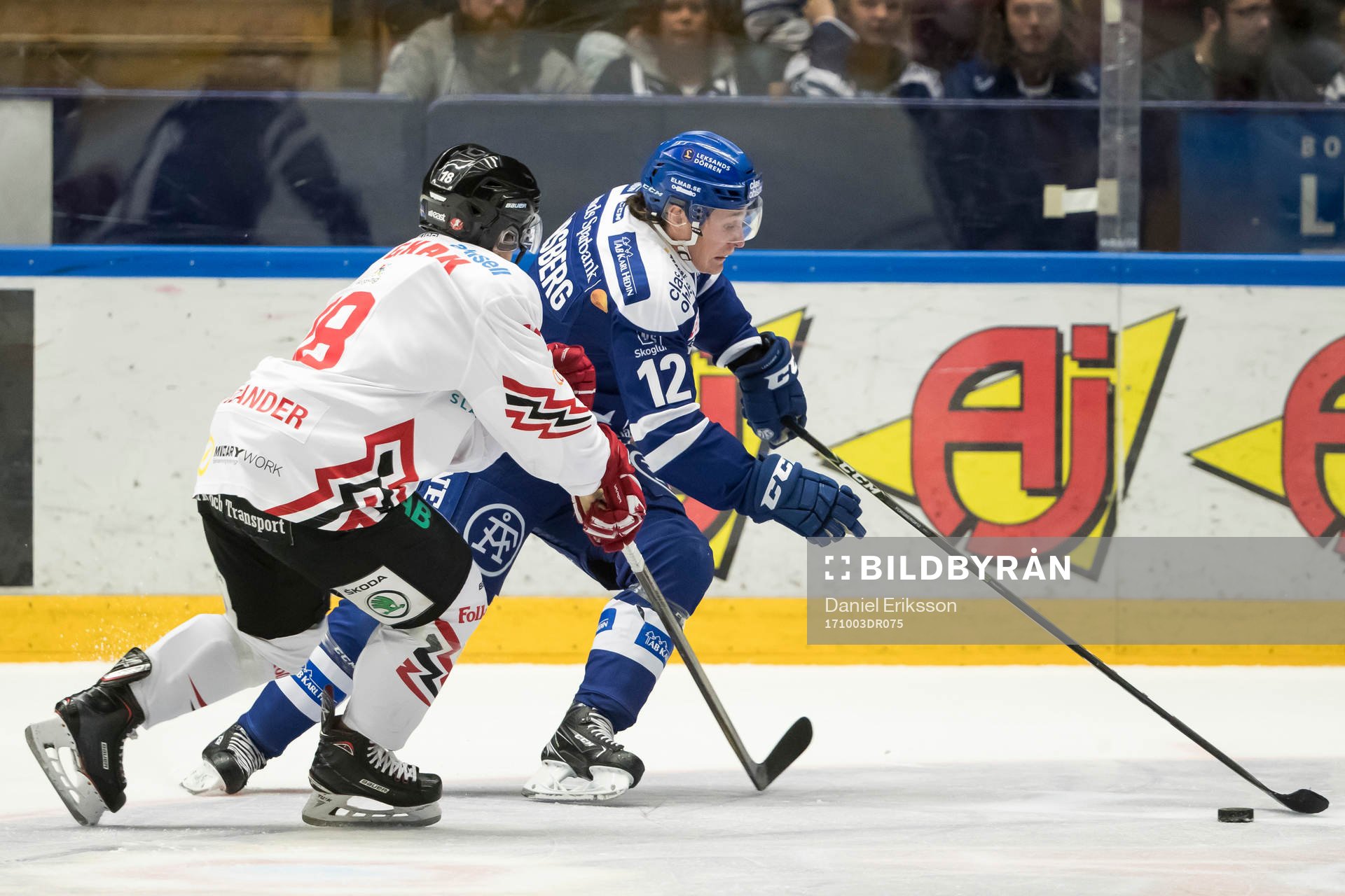 Vita Hästens Jonathan Tholander jagar Leksands Fredrik