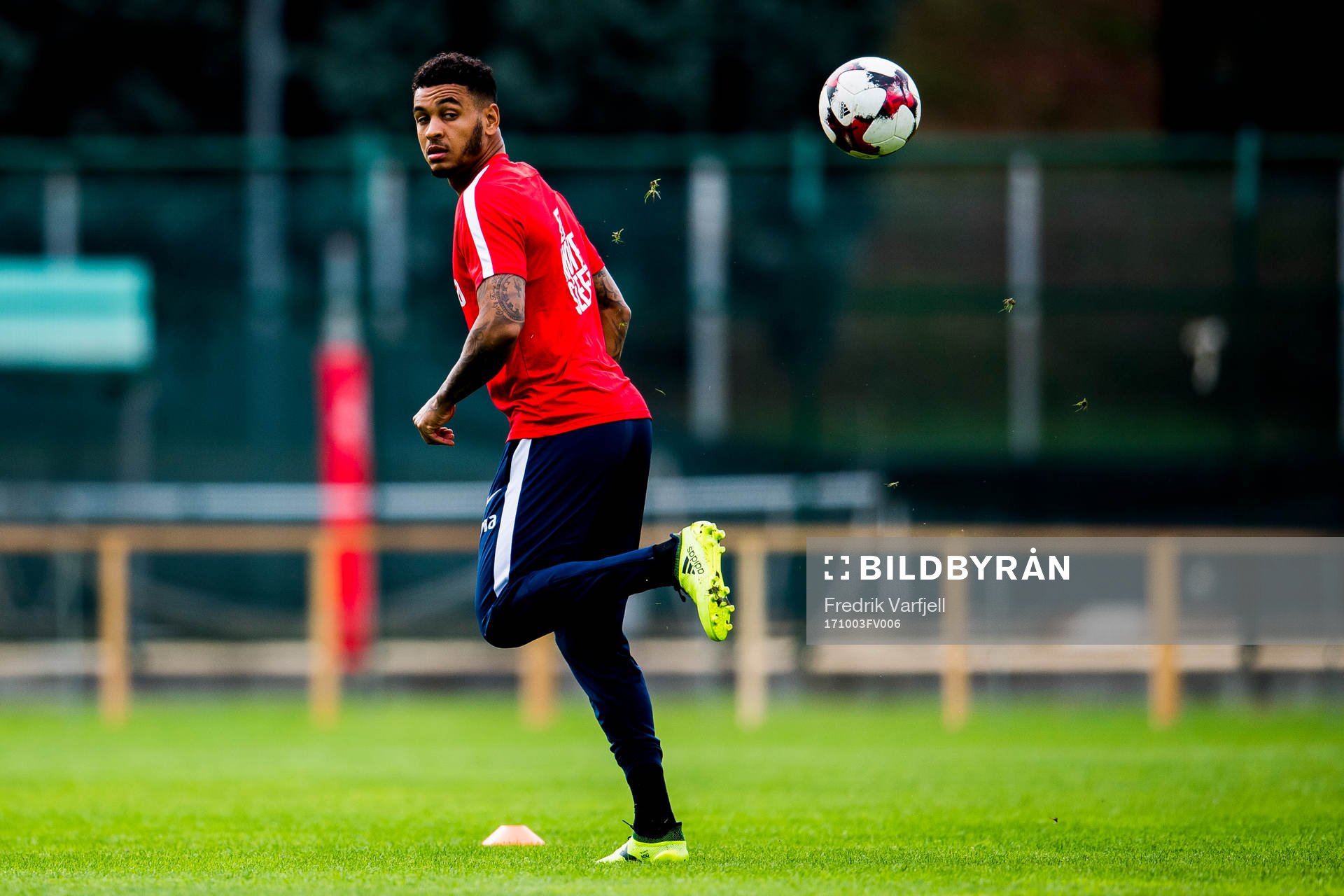 Joshua King