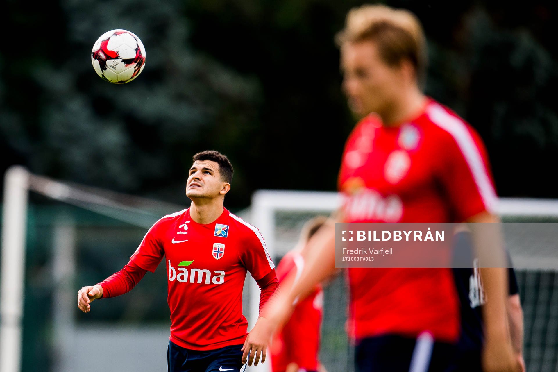Tarik Elyounoussi