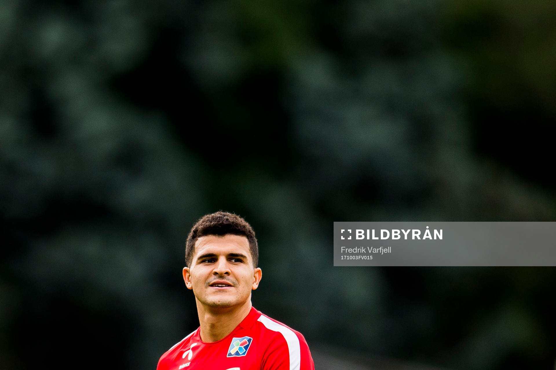 Tarik Elyounoussi