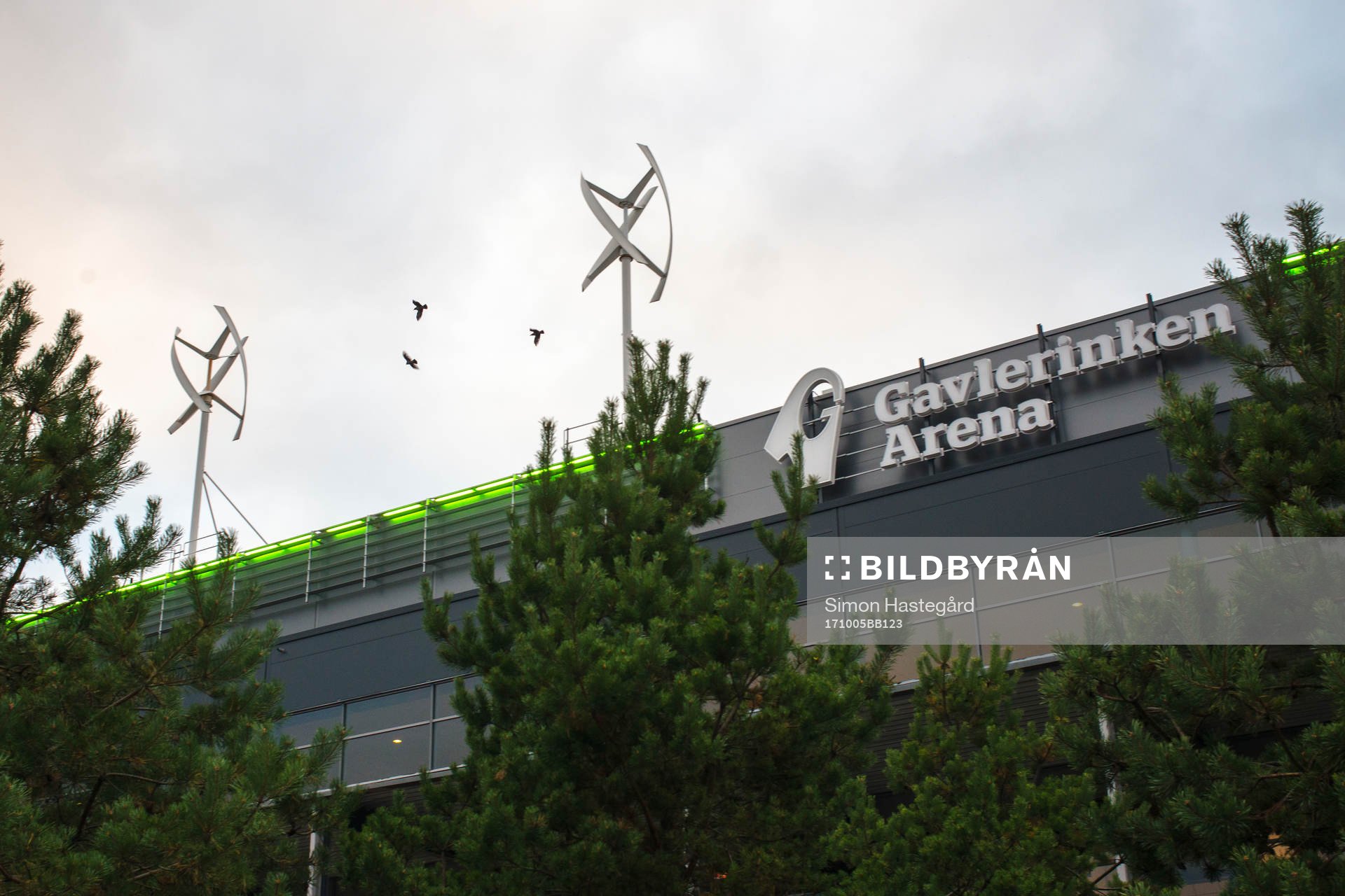 Fåglar utanför Gavlerinken Arena före ishockeymatchen i