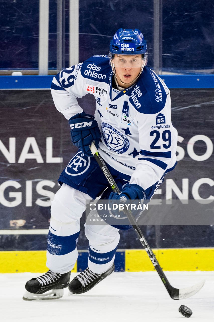 Leksands David Åslin