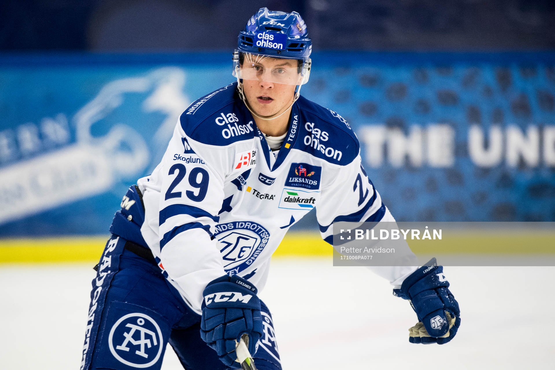 Leksands David Åslin