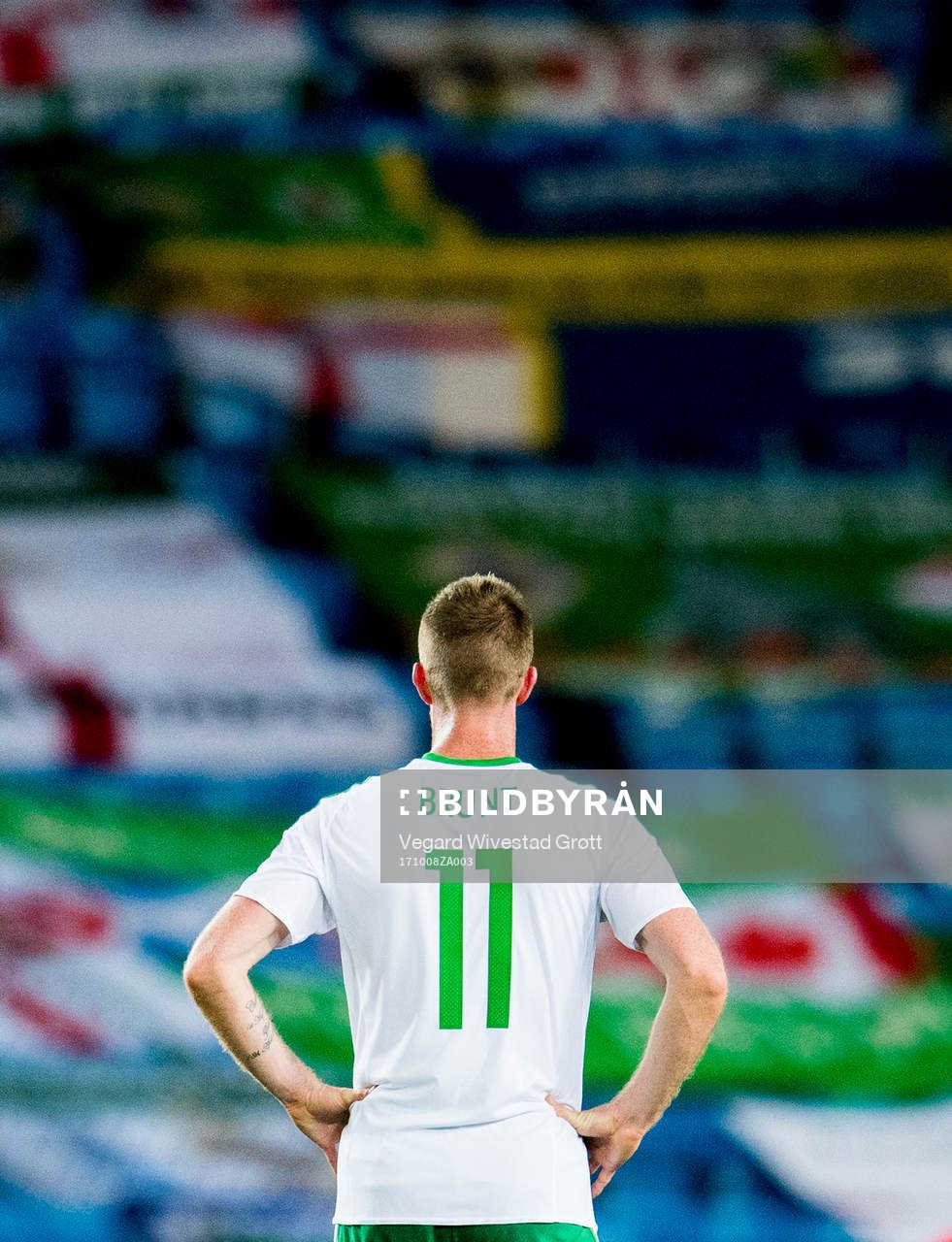 Chris Brunt of Northern Ireland looks dejected