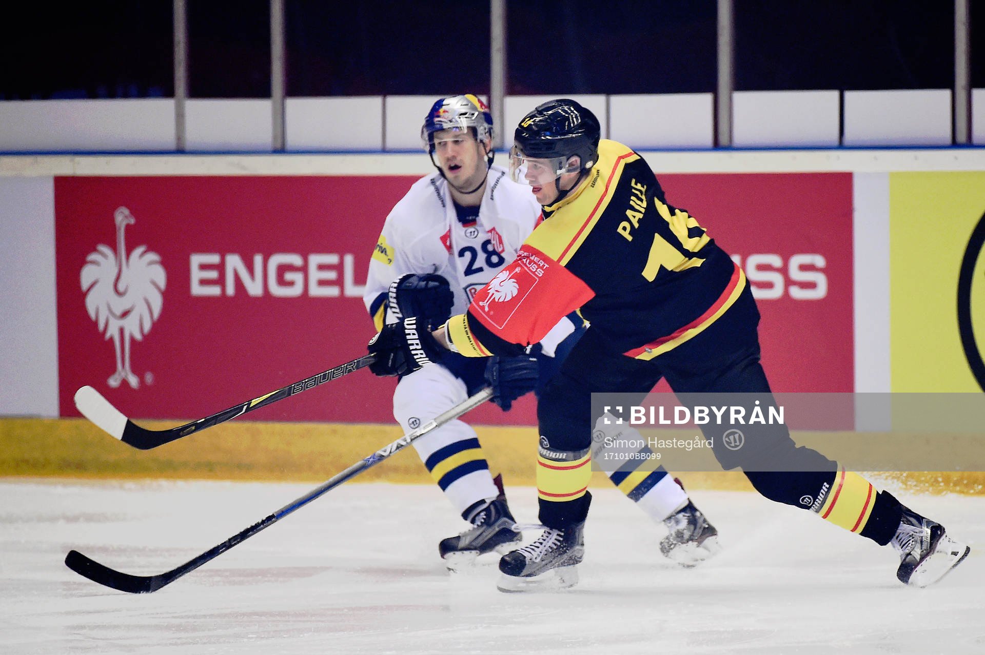 Frank Mauer of RB Munich and Daniel Paille of Brynäs